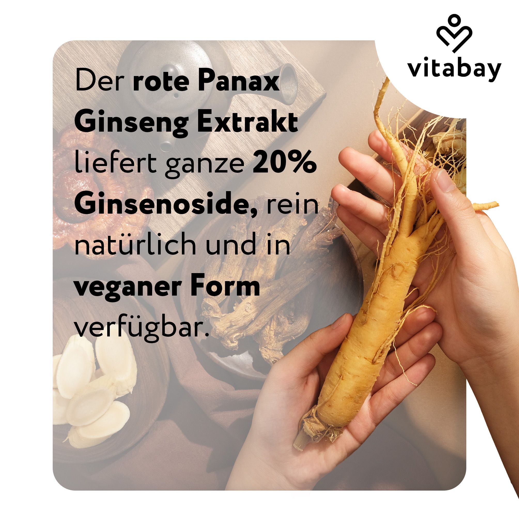 Vitabay Roter Panax Ginseng Extrakt liefert 20% Ginsenoside, vegan.