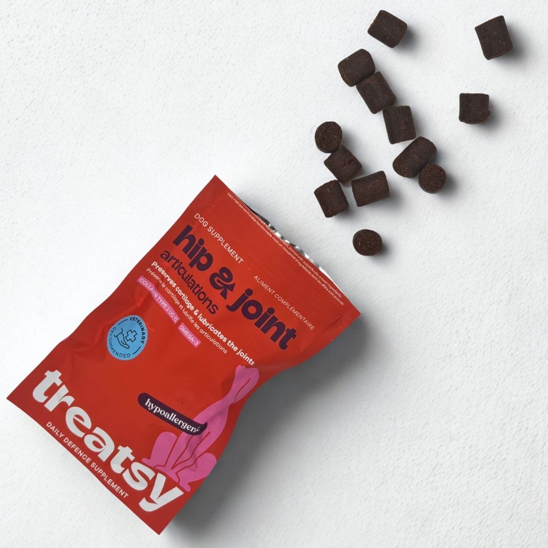 Rote Tüte mit „Hip & Joint“ für Hunde. Braune Kausnacks liegen daneben. „Hypoallergen“ und „Treatsy“.