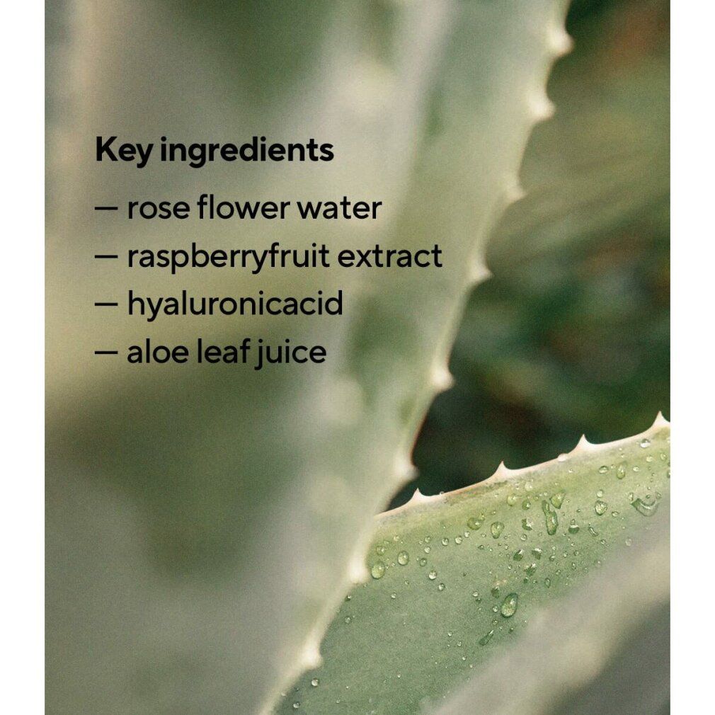 Nahaufnahme von Aloe-Blatt mit Text: Key ingredients, rose flower water, raspberryfruit extract, hyaluronicacid, aloe leaf juice.