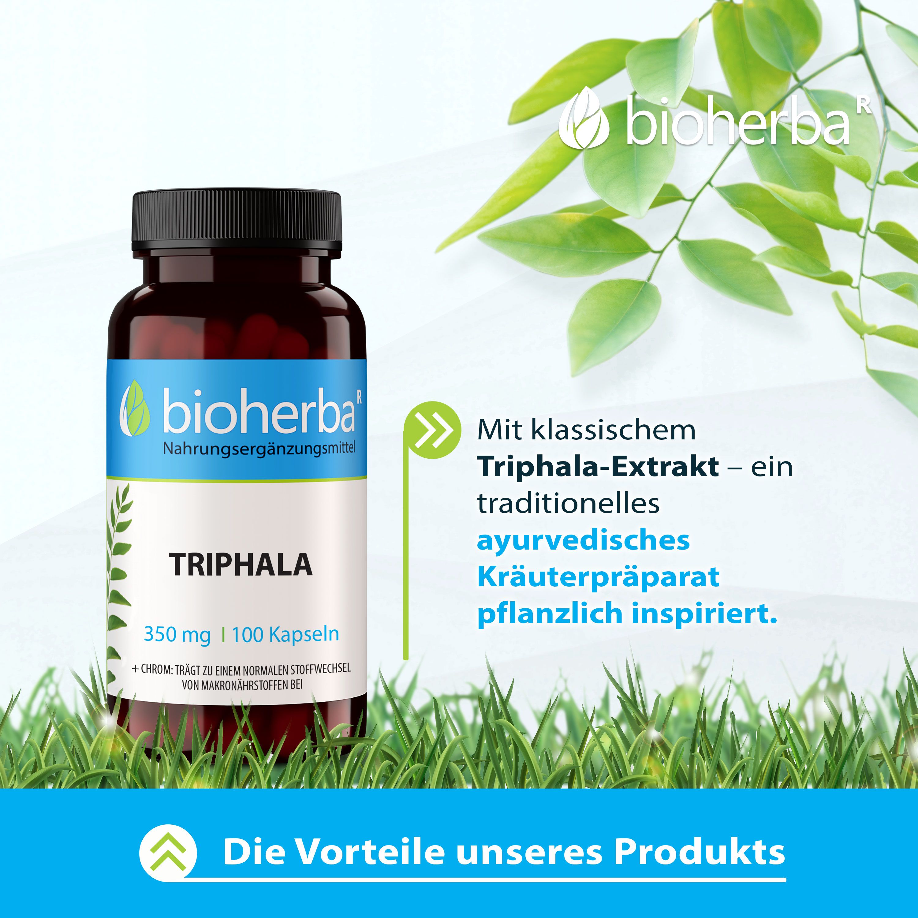 Braune Flasche mit schwarzen Deckel, umgeben von grünen Blättern. Aufschrift: Bioherba, Triphala, 350 mg | 100 Kapseln.