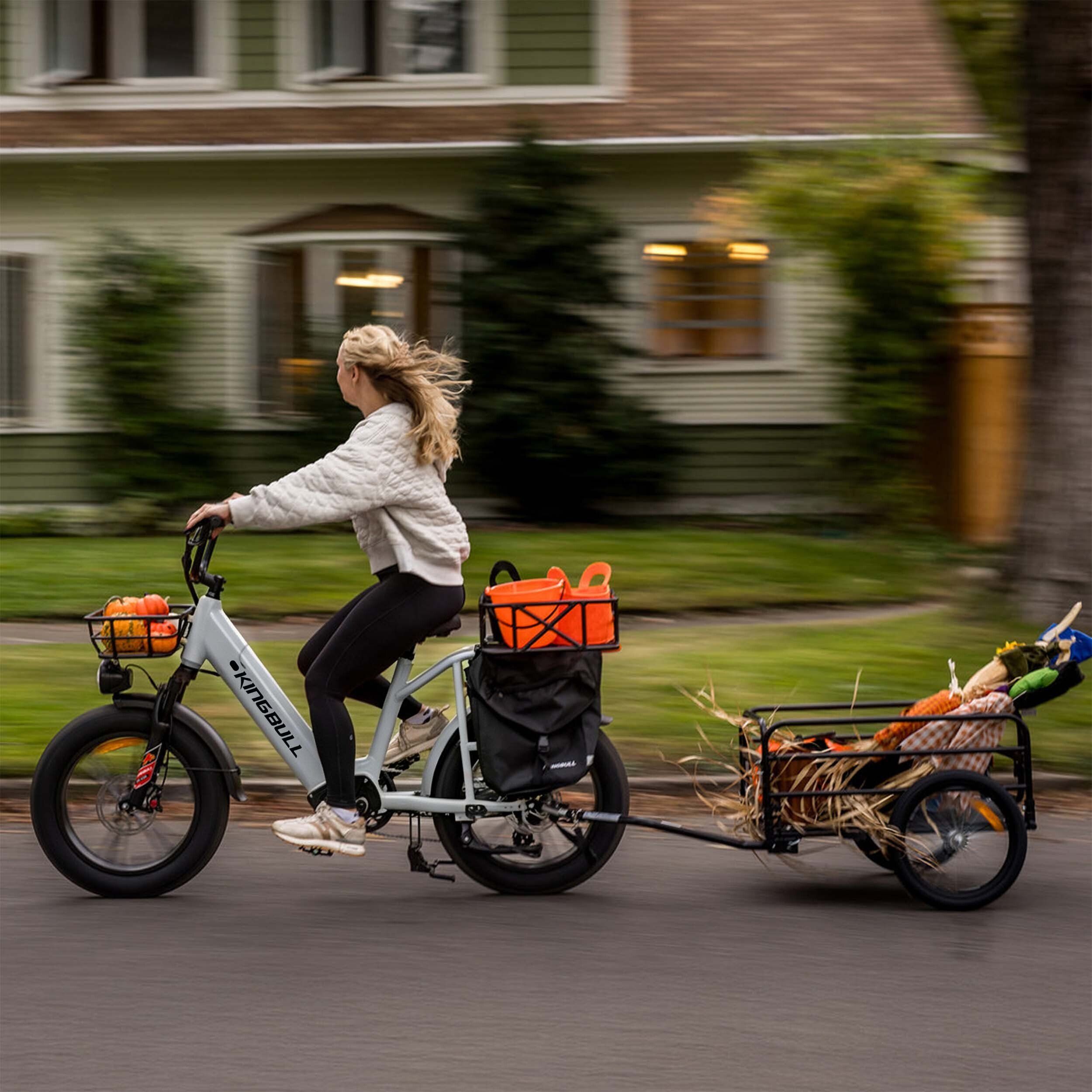 KINGBULL Voyager 2.0 E-Bike mit 48 V / 15 Ah herausnehmbarem Akku