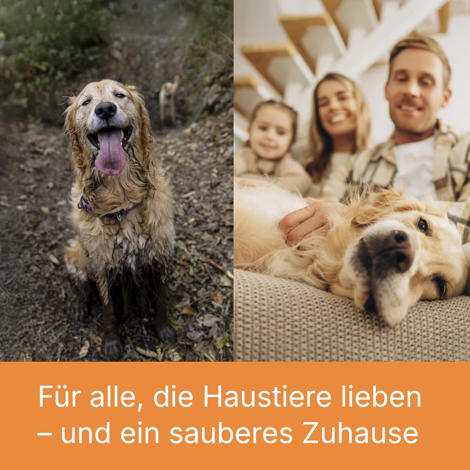 Schmutziger Hund im Freien und Familie mit Hund im Haus.