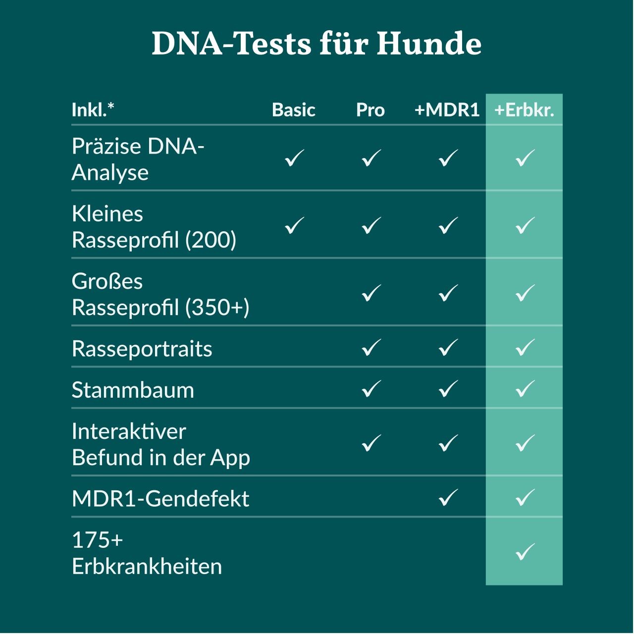 Tabelle mit DNA-Test-Optionen für Hunde. Enthält: Präzise DNA-Analyse, Rasseprofile, Stammbaum, interaktive App-Befunde, MDR1-Gendefekt.
