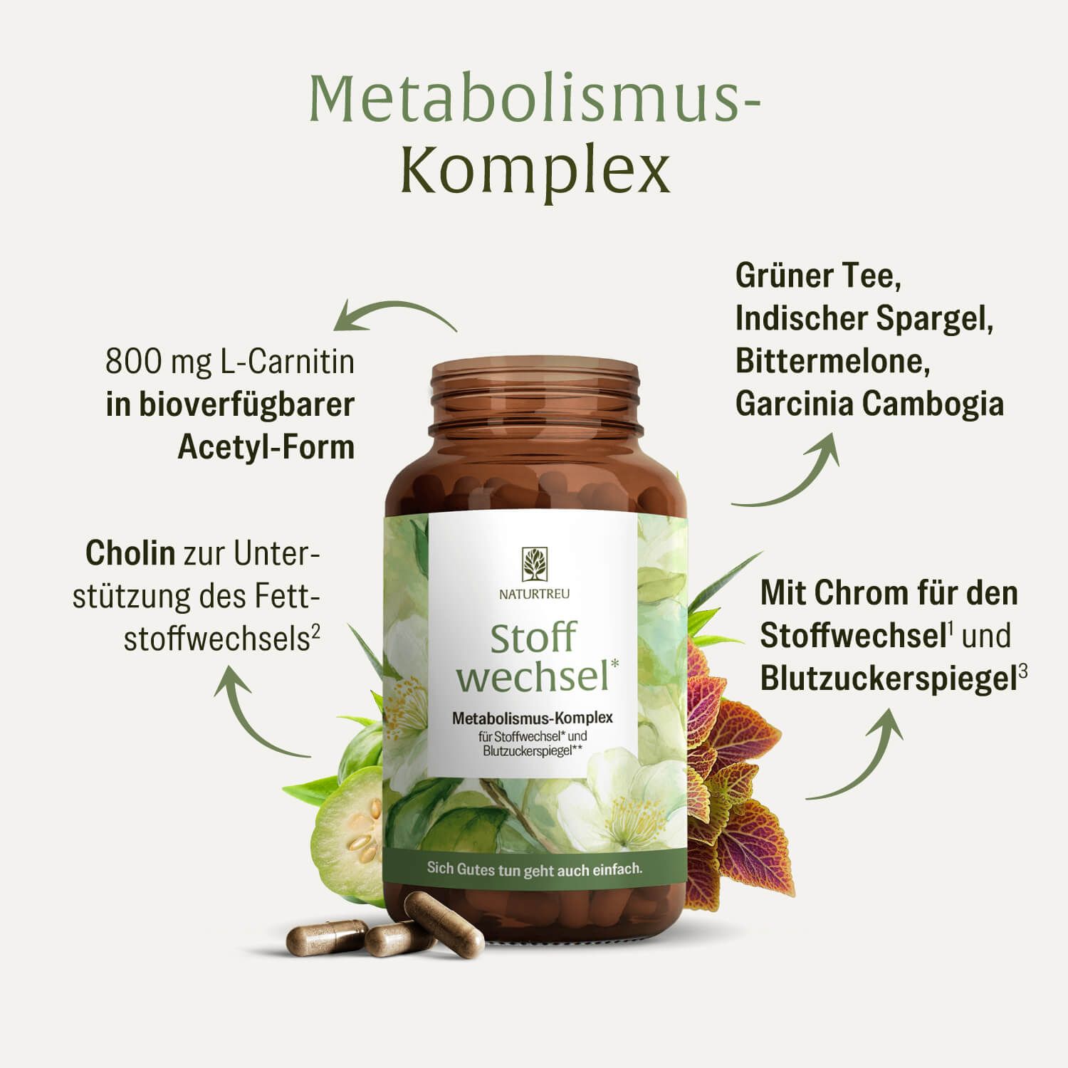 NATURTREU Stoffwechsel Kapseln mit detaillierten Informationen zu Inhaltsstoffen und Wirkung.