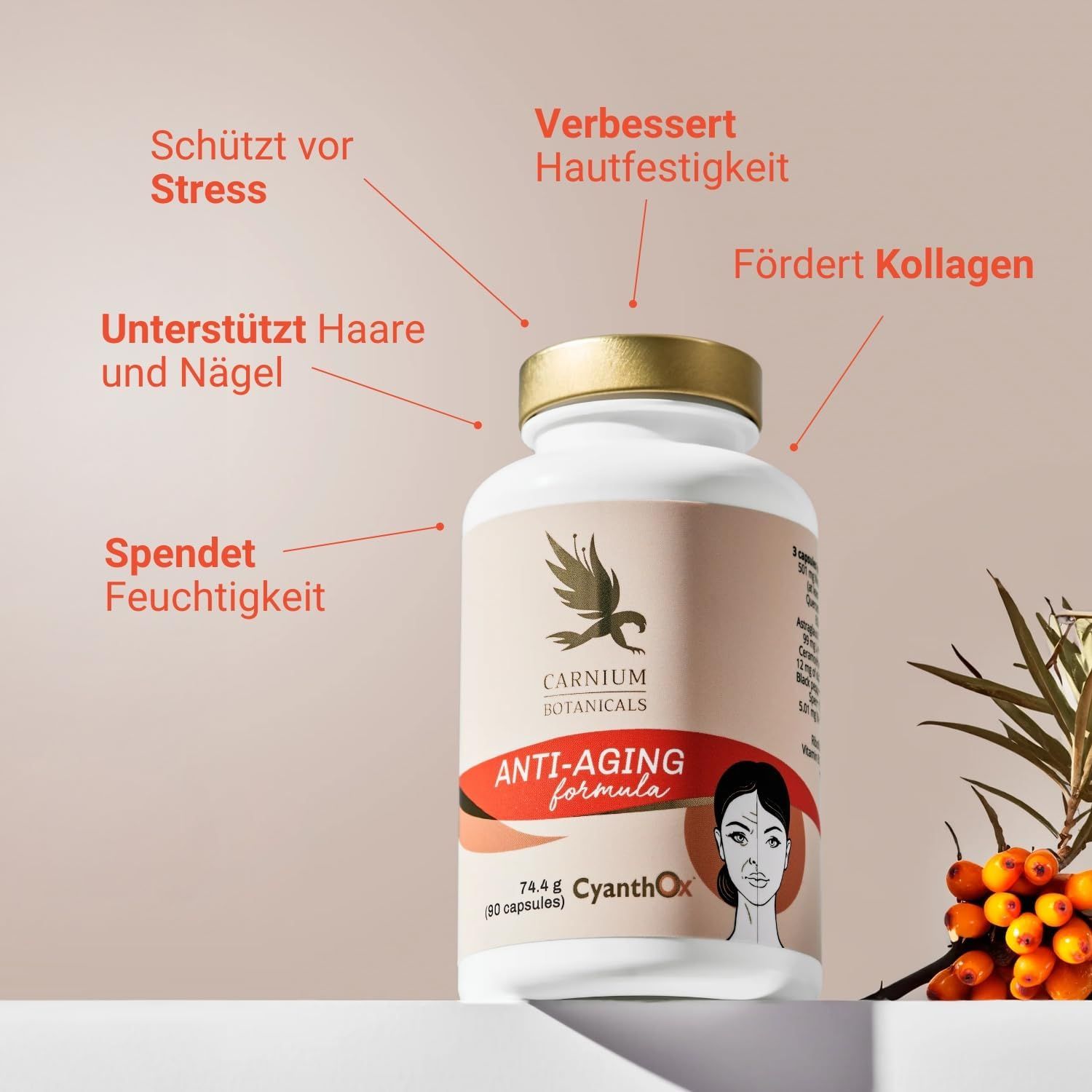 Pillenfläschchen mit goldenem Deckel. Text: Carnium Botanicals, Anti-Aging formula. Pfeile zeigen auf Vorteile.