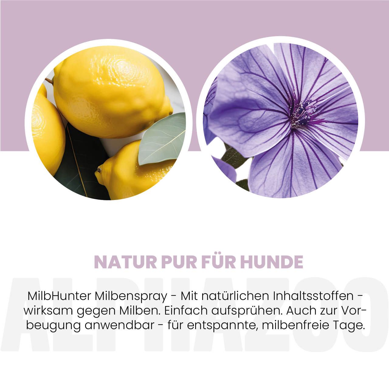 Zitronen und Blume. Text: Natur pur für Hunde. MILBHUNTER Milbenspray.