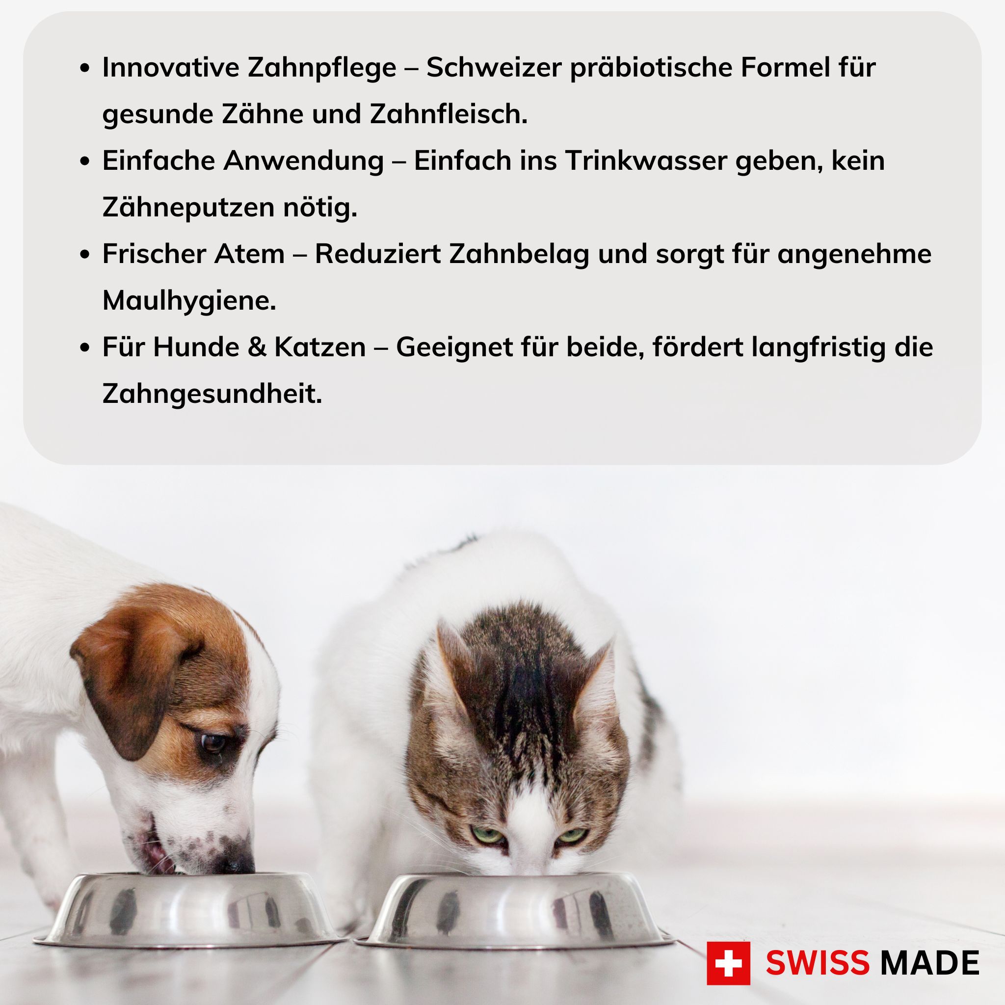 Hund und Katze fressen aus Näpfen. Text: Schweizer Formel für gesunde Zähne. Swiss Made Logo.