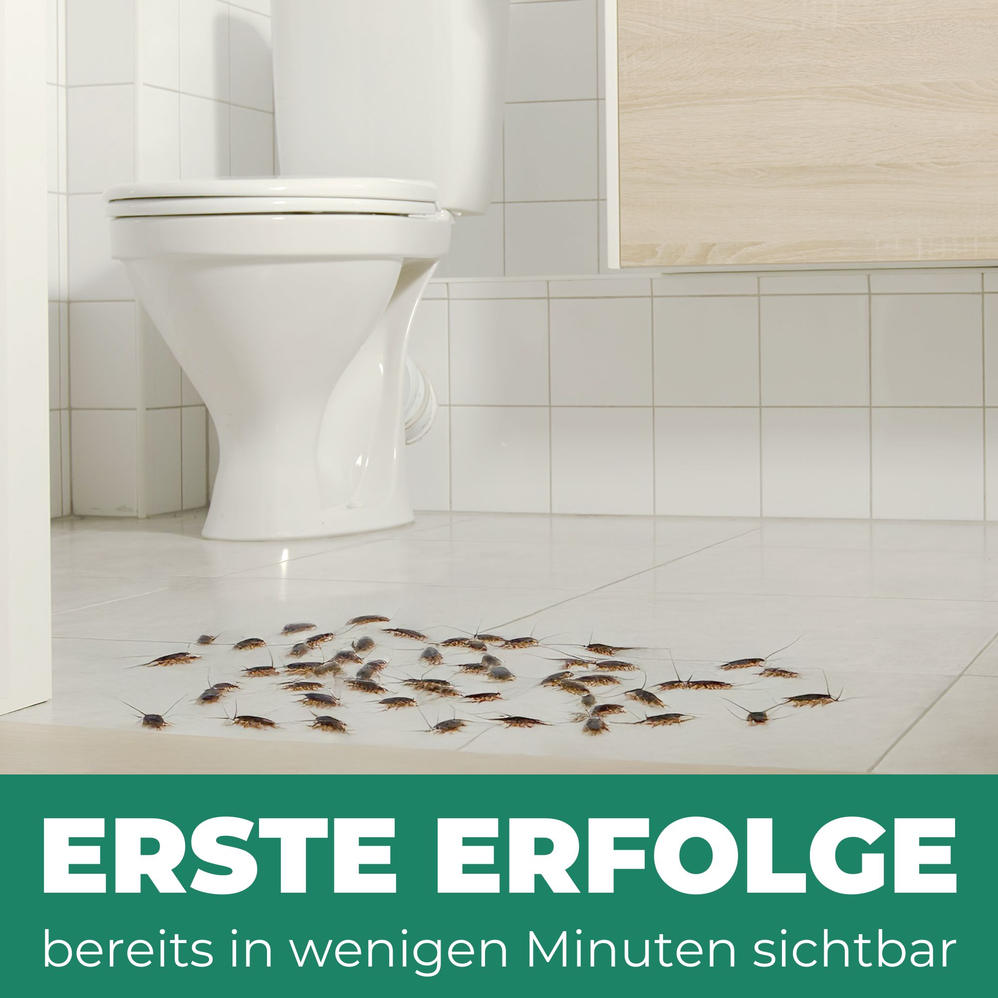 SILBERKRAFT Silberfischspray