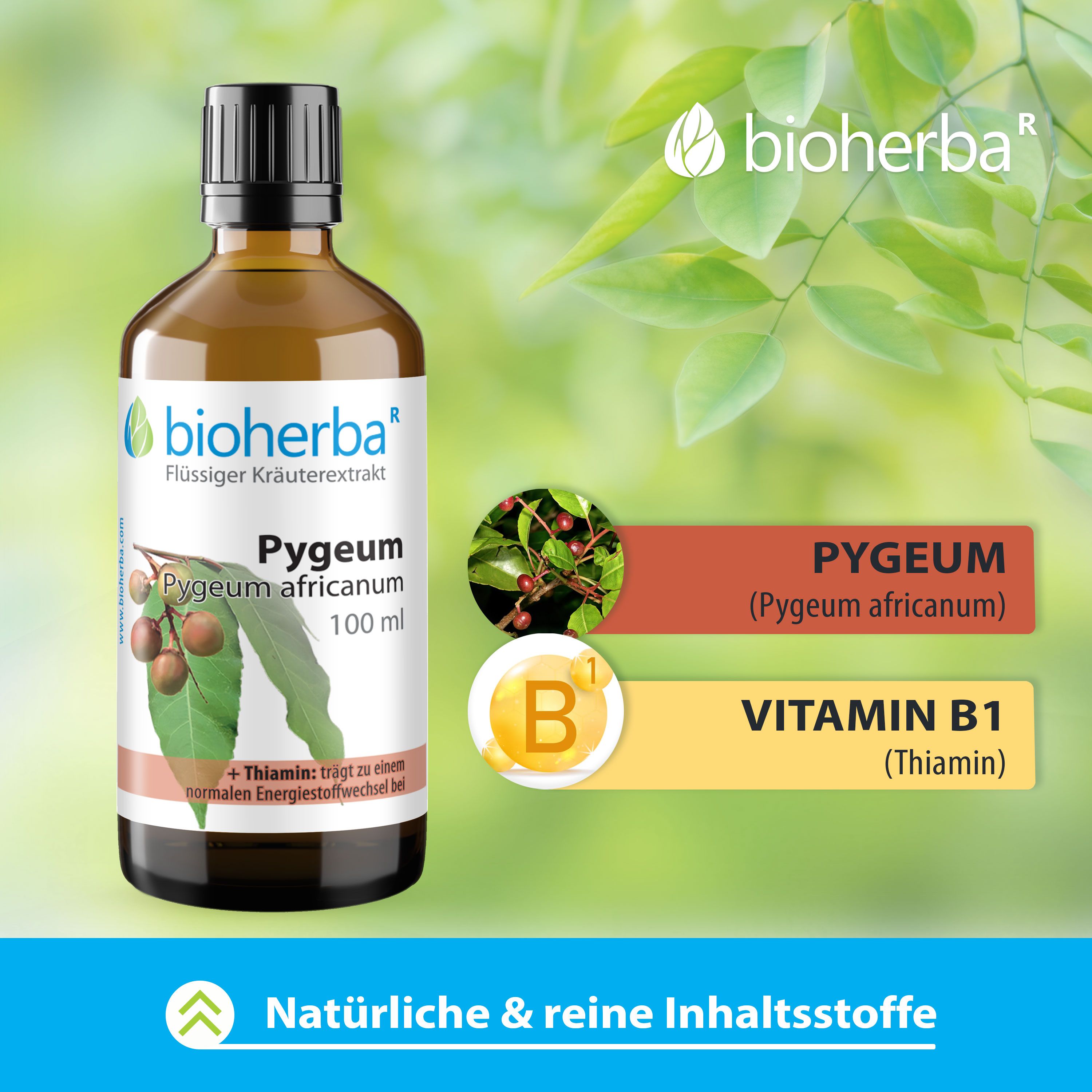 Braune Glasflasche mit schwarzem Deckel. Bioherba Pygeum africanum, 100 ml. Mit Thiamin. Zusätzliche Informationen zu Inhaltsstoffen.