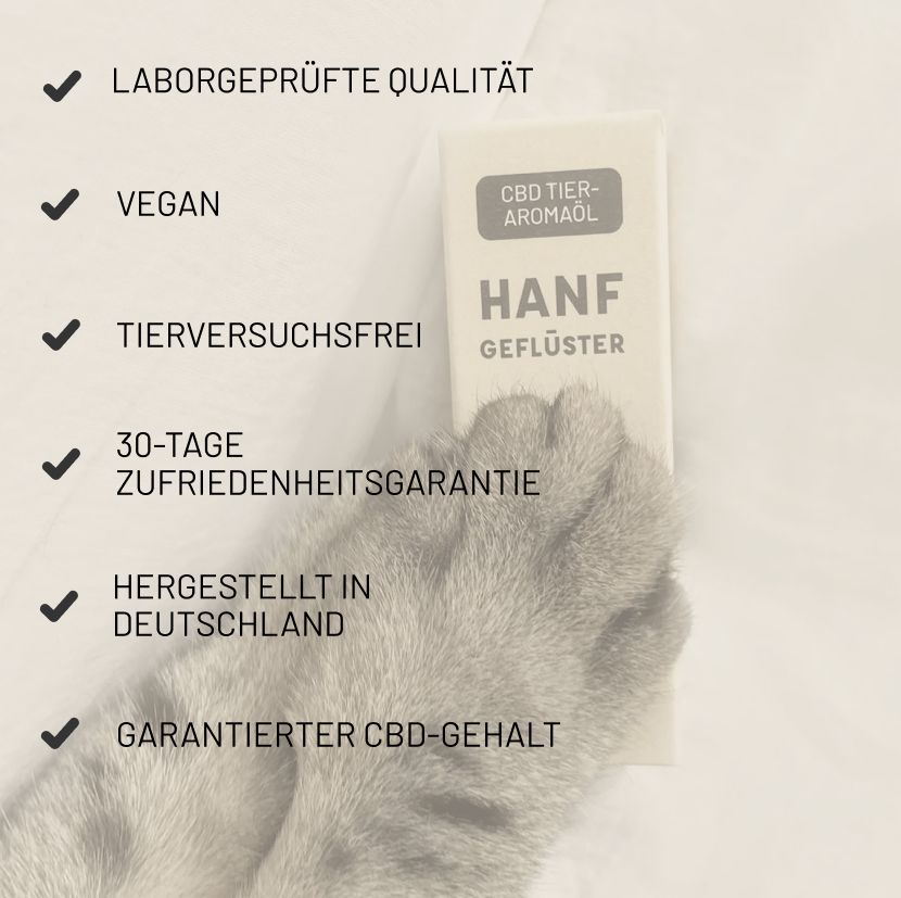 Karton mit HANFGEFLÜSTER. Aufschrift CBD Tier-Aromaöl. Vegan, tierversuchsfrei, hergestellt in Deutschland. Pfote eines Tieres.