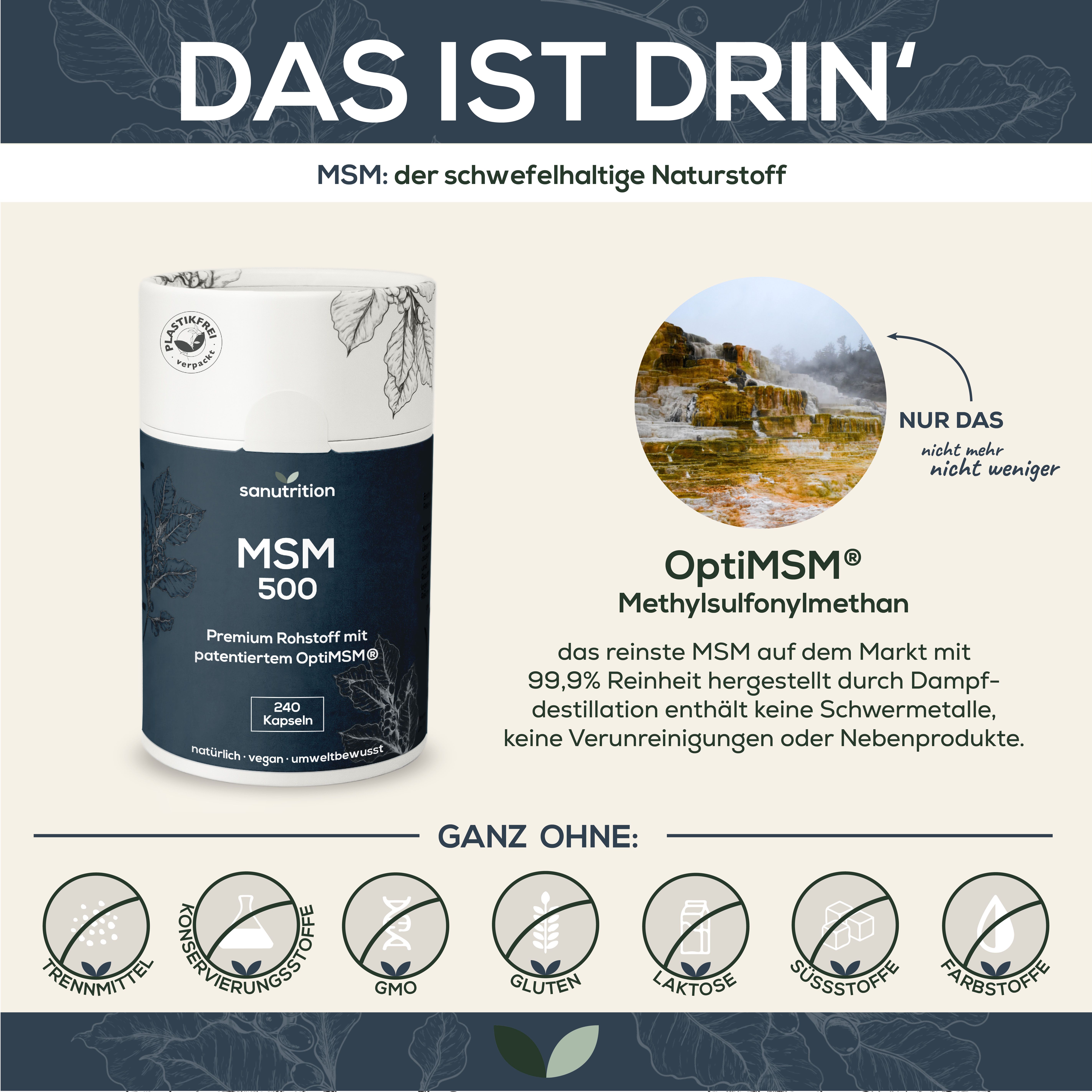 Infografik: Sanutrition MSM 500 Dose. Informationen zu Inhaltsstoffen, Reinheit und Vermeidung von Zusatzstoffen.
