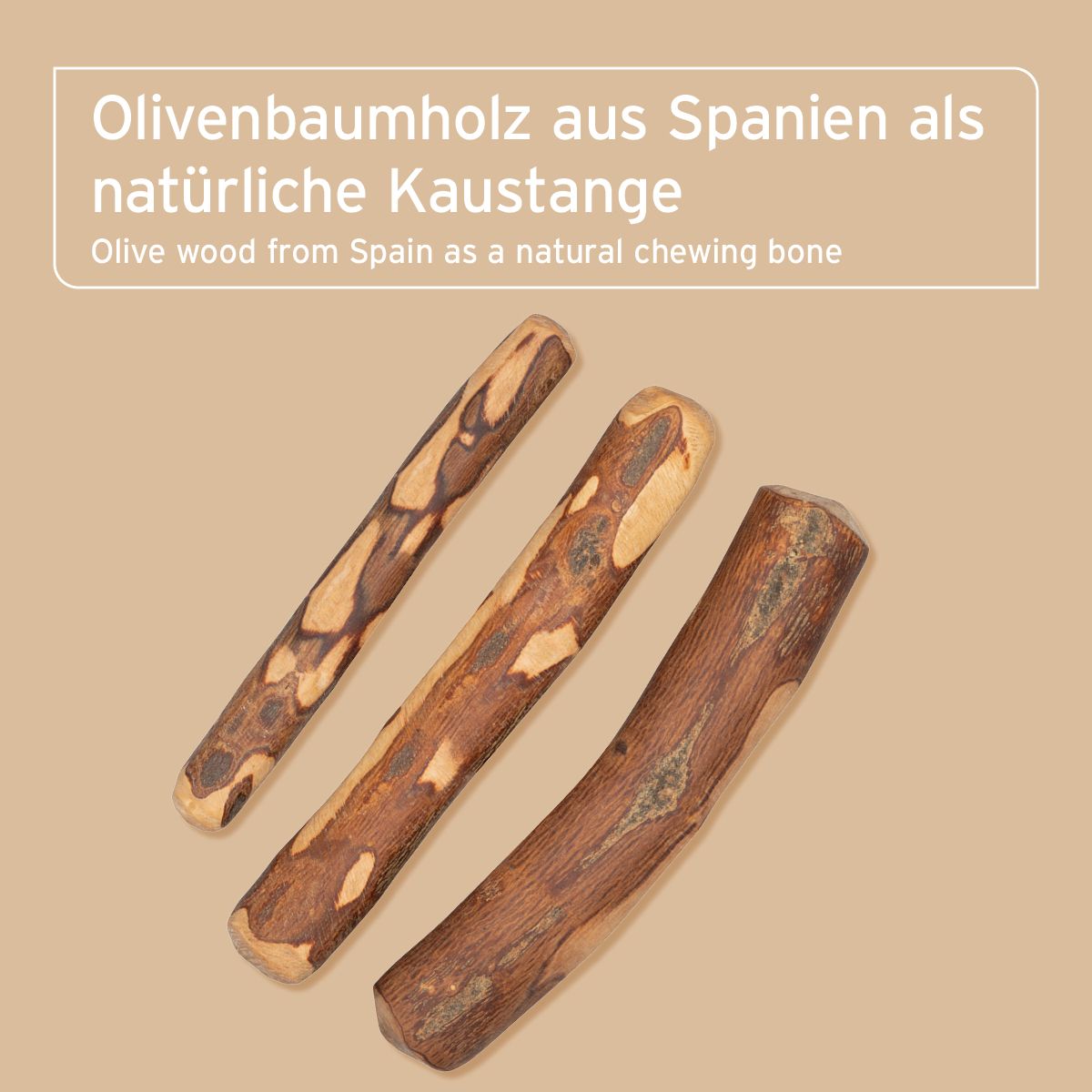 Drei Olivenholz-Knabberstäbe. Natürliche Holzmaserung. Aufschrift: Olivenbaumholz aus Spanien als natürliche Kausstange.