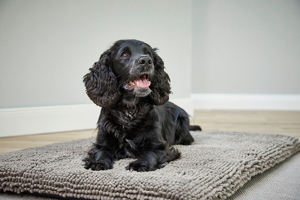 Schwarzer Hund liegt auf einem grauen, rechteckigen Pad. Der Hund schaut nach oben. Pad aus flauschigem Material.