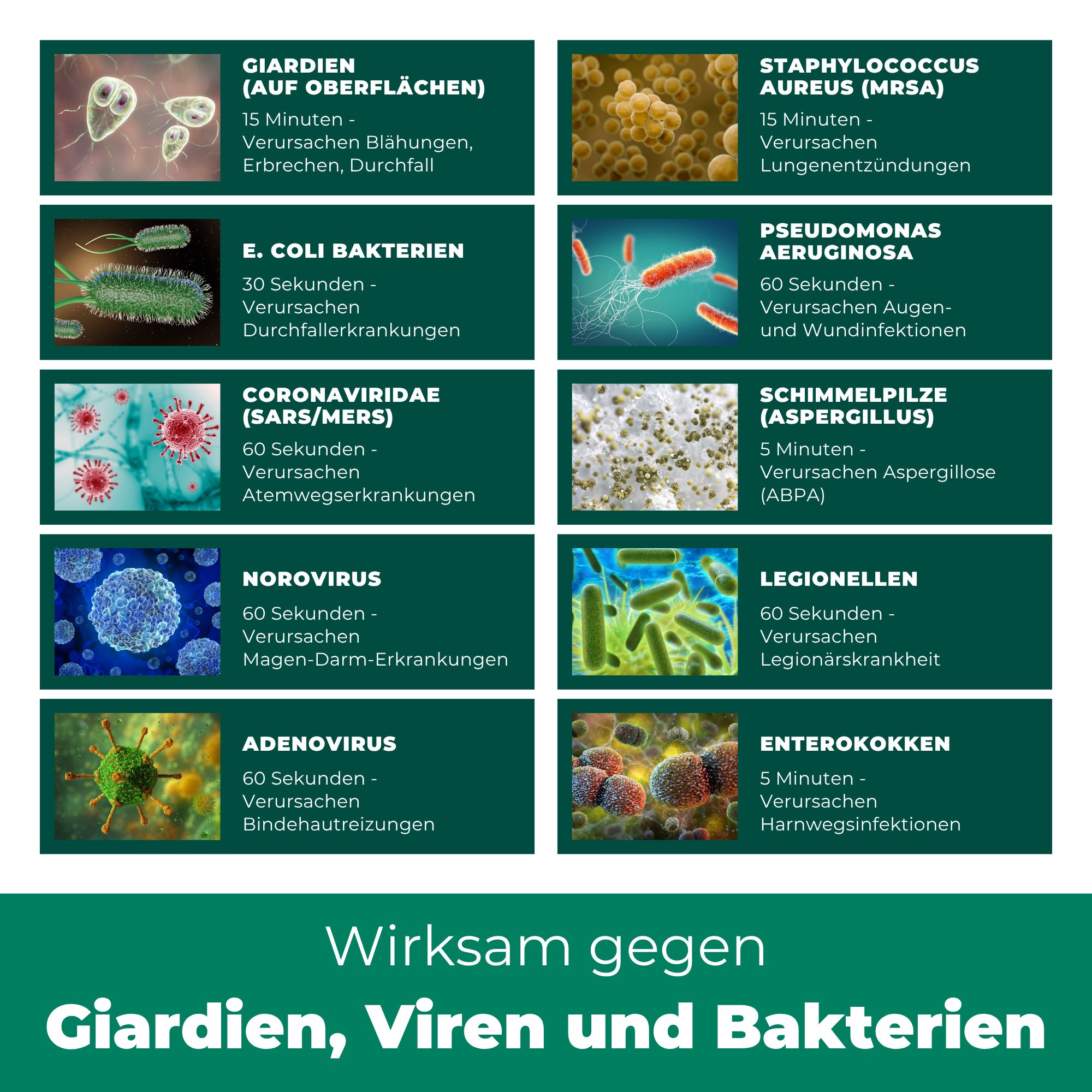 SILBERKRAFT Giardienspray Hunde & Katzen gegen Giardien, Bakterien, Viren & Pilze inkl. eBook