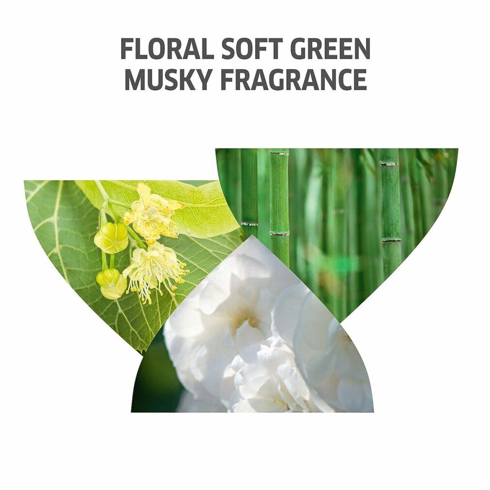 Grafik mit Blüten, Bambus und Rose. Text: Floral, weich, grün, Moschusduft.