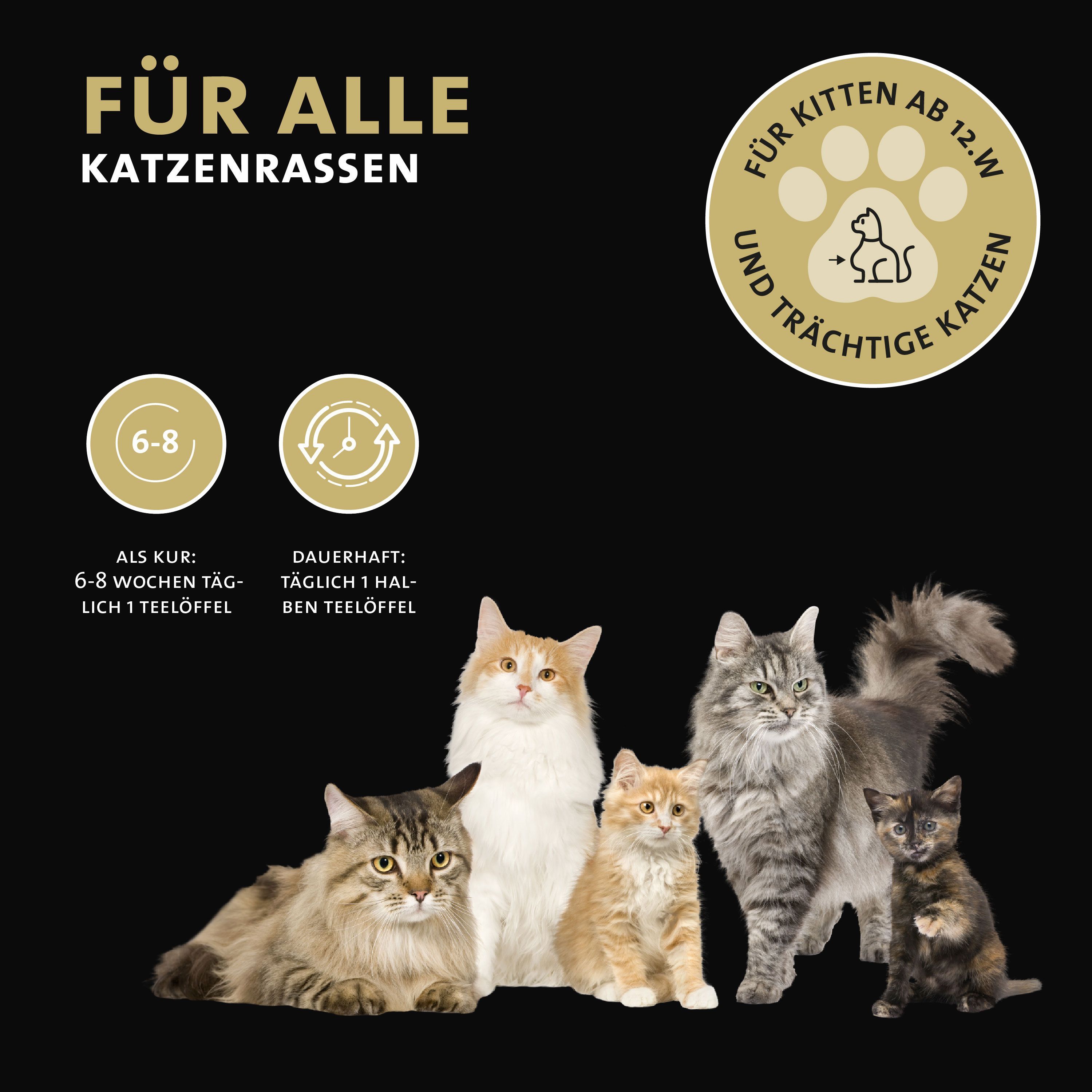 Verschiedene Katzenrassen. Text: Für alle Katzenrassen. Logo: Für Kitten ab 12.W. und trächtige Katzen.