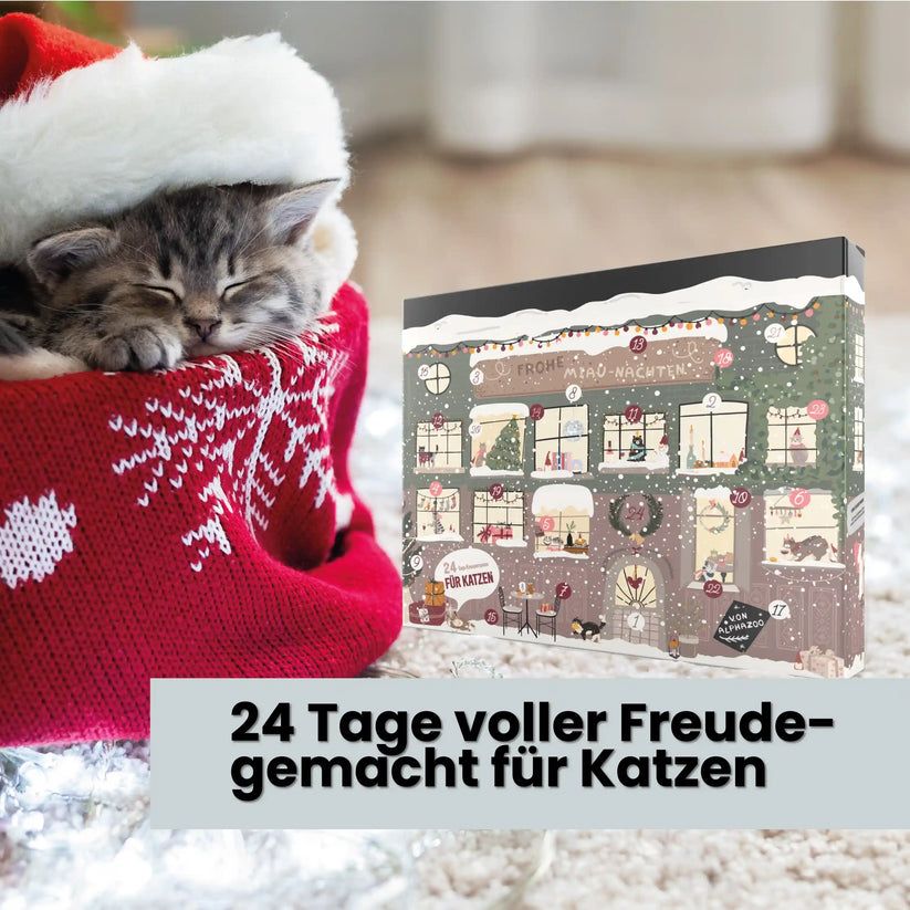 alphazoo Adventskalender 2025 für Katzen