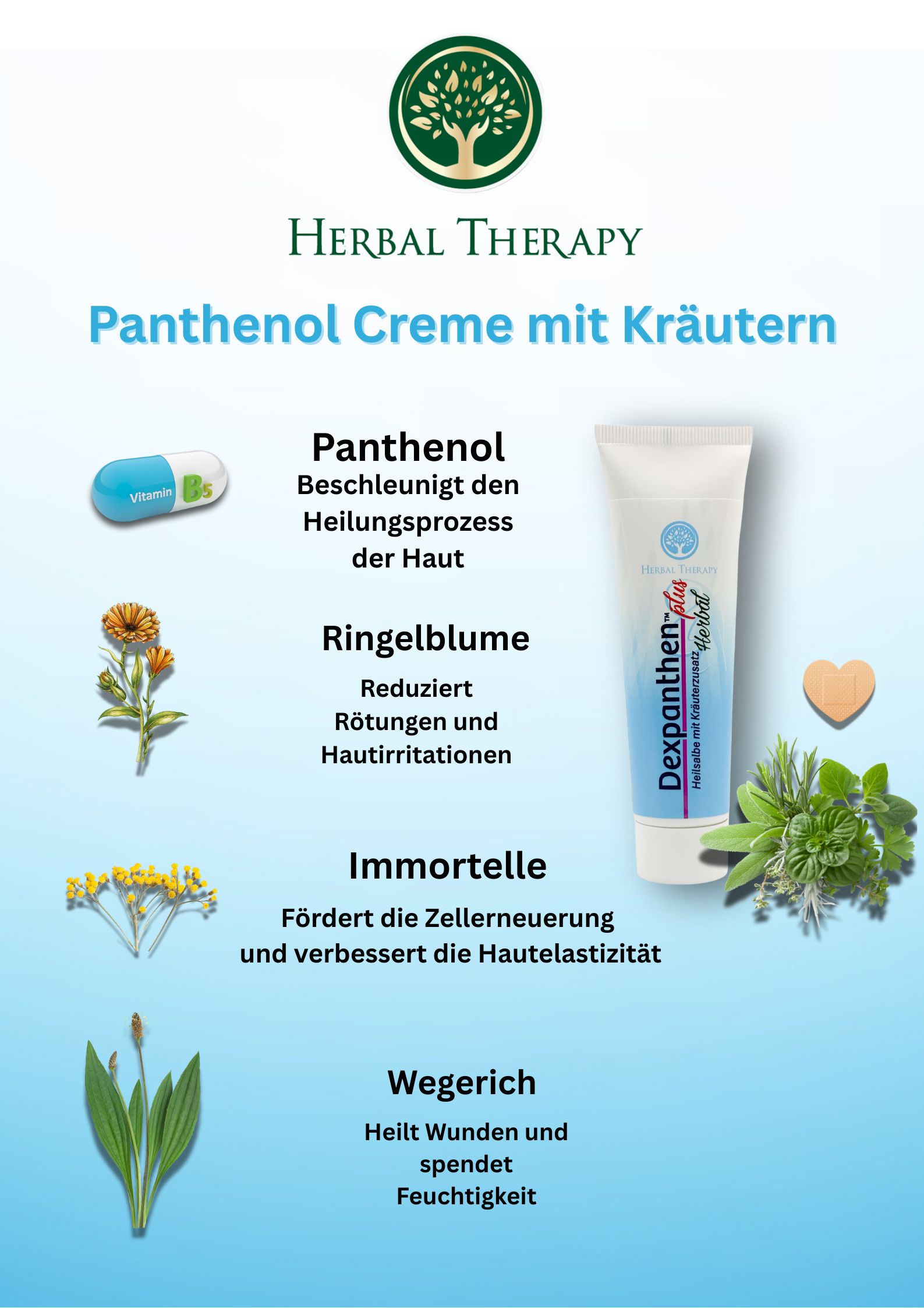 Werbeplakat mit Creme-Tube. Logo: Baum mit Blättern. Text: Panthenol Creme mit Kräutern. Abbildungen von Kräutern und Inhaltsstoffen.