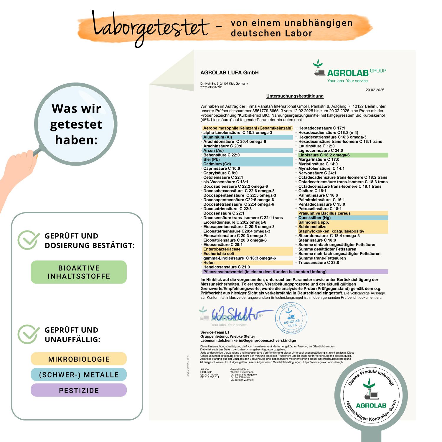 Flasche Kürbiskern BIO Öl mit Textfeldern. 1.000 mg Kürbiskernöl pro Portion. 45% Linolsäure. Ohne Zusatzstoffe. Laborgeprüft.