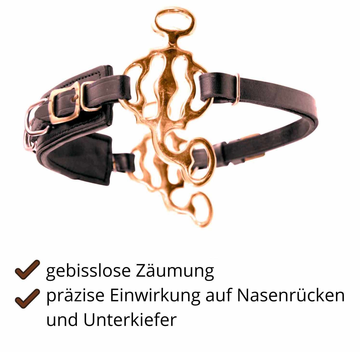 Hackamore Barock, goldfarbene Anzüge, Leder-Nasenriemen. Text: gebisslose Zäumung, präzise Einwirkung.