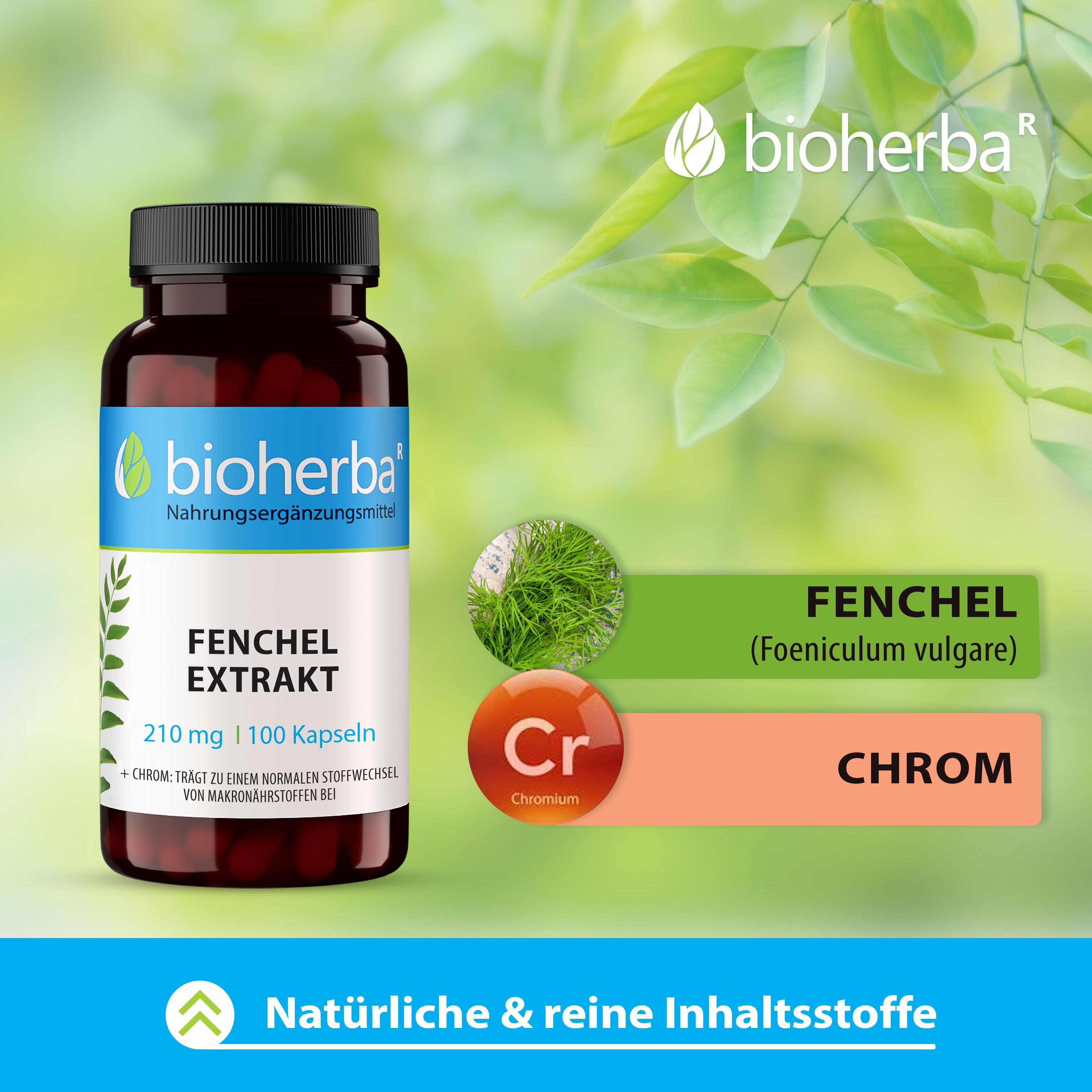 Produktabbildung mit Fenchel und Chrom. Text: Fenchel (Foeniculum vulgare), Chrom. Natürliche & reine Inhaltsstoffe.