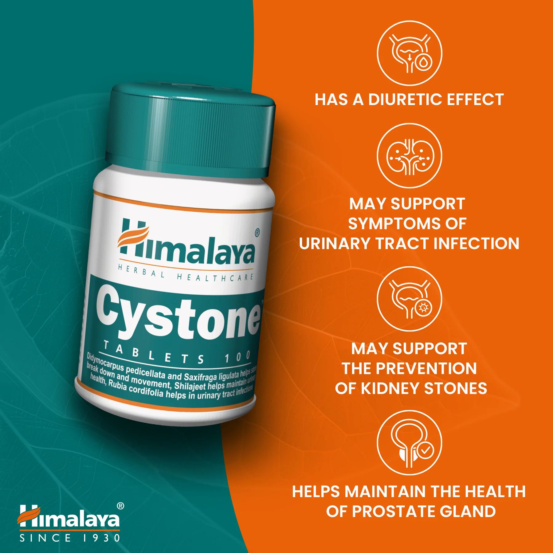 Himalaya Cystone Tabletten in einer Flasche. Text: Hat eine diuretische Wirkung. Kann Symptome einer Harnwegsinfektion unterstützen.
