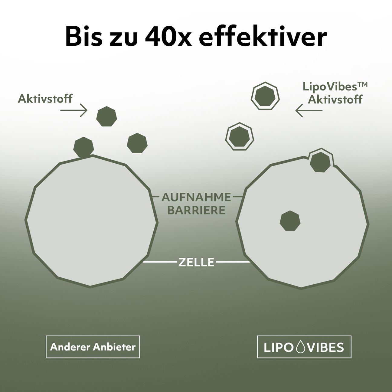 LipoVibes Omega 3 + Schwarzkümmel