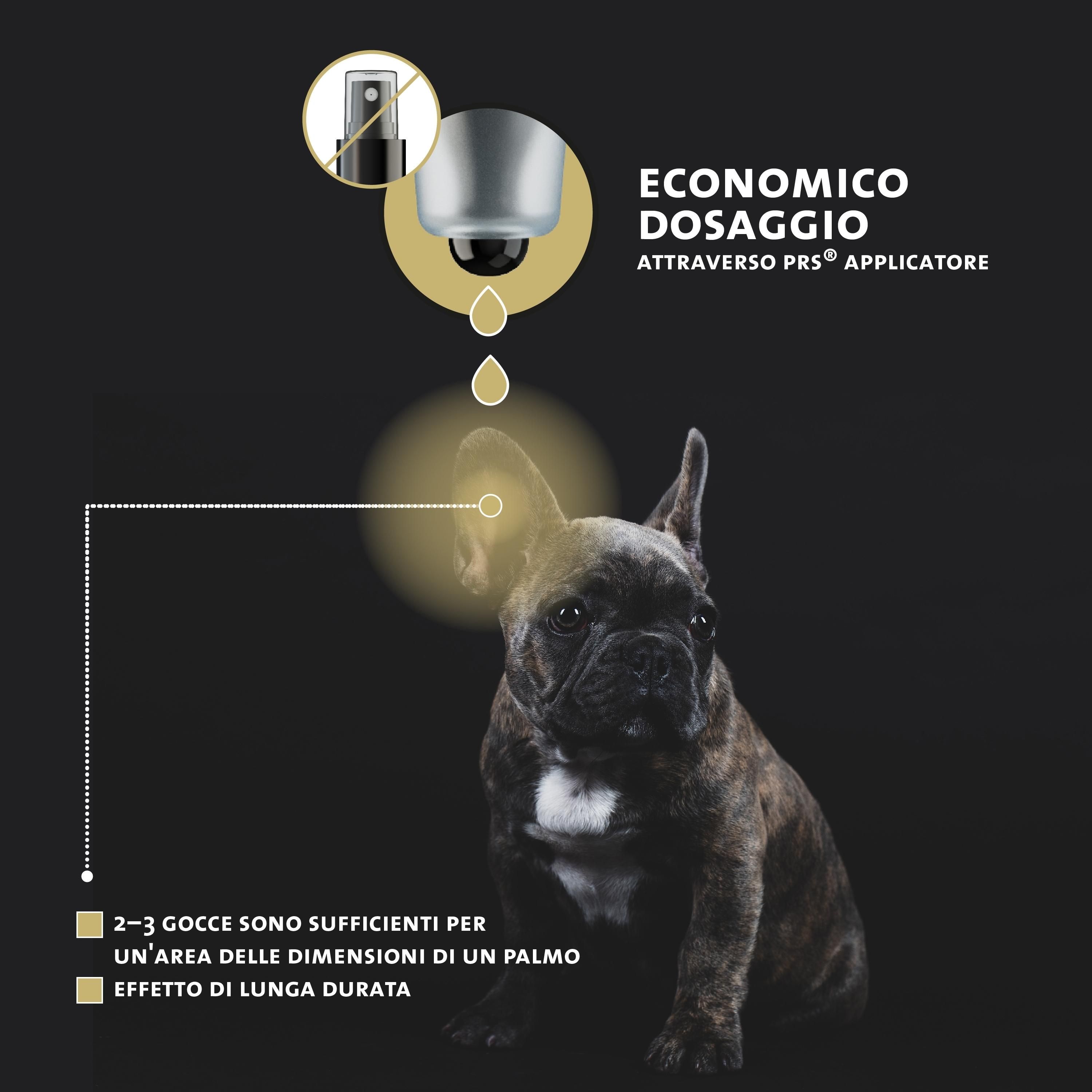 Französische Bulldogge. Sparsame Dosierung durch PRS-Applikator. 2-3 Tropfen für eine handflächengroße Stelle.
