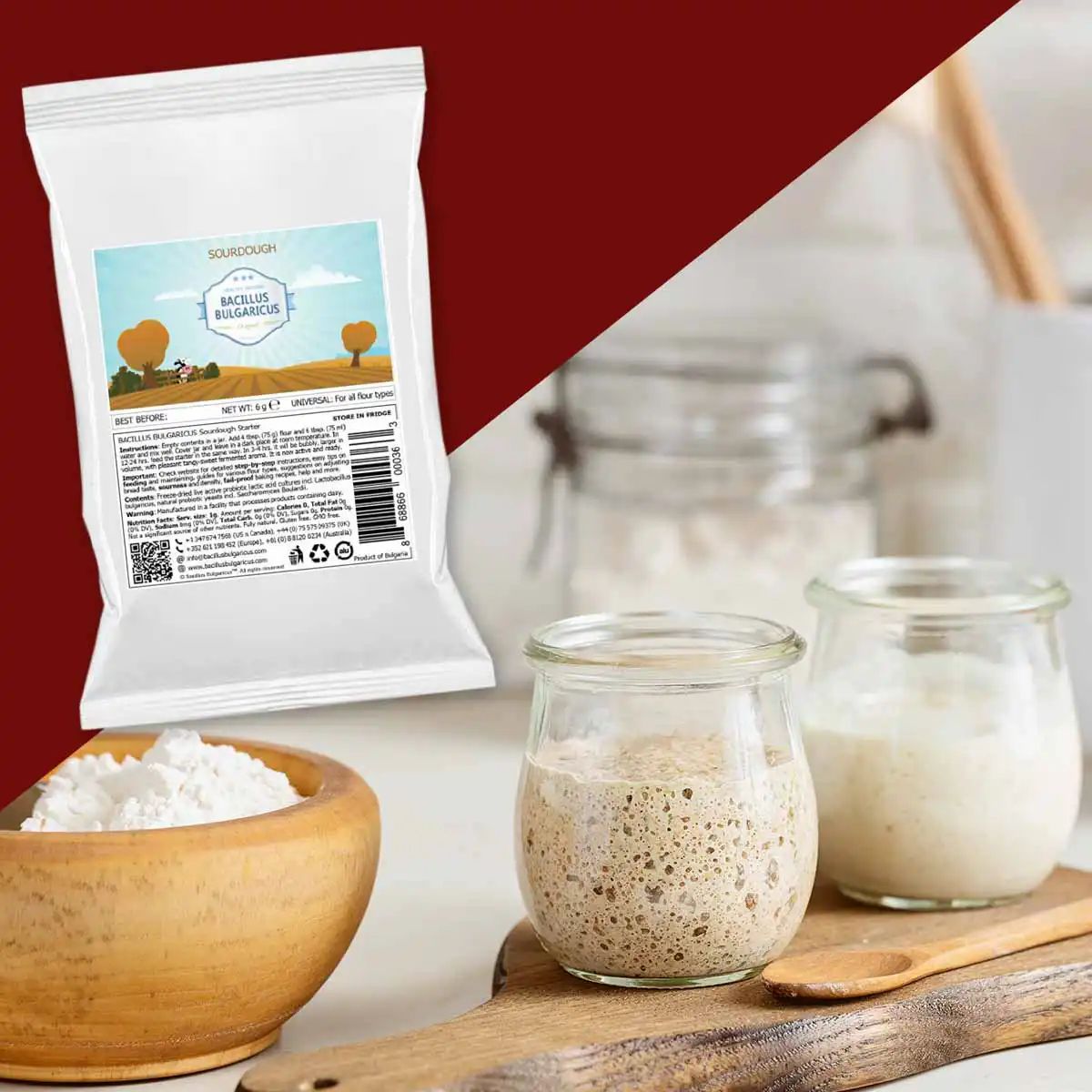 BACILLUS BULGARICUS Sauerteig-Starterkultur für echten Sauerteig