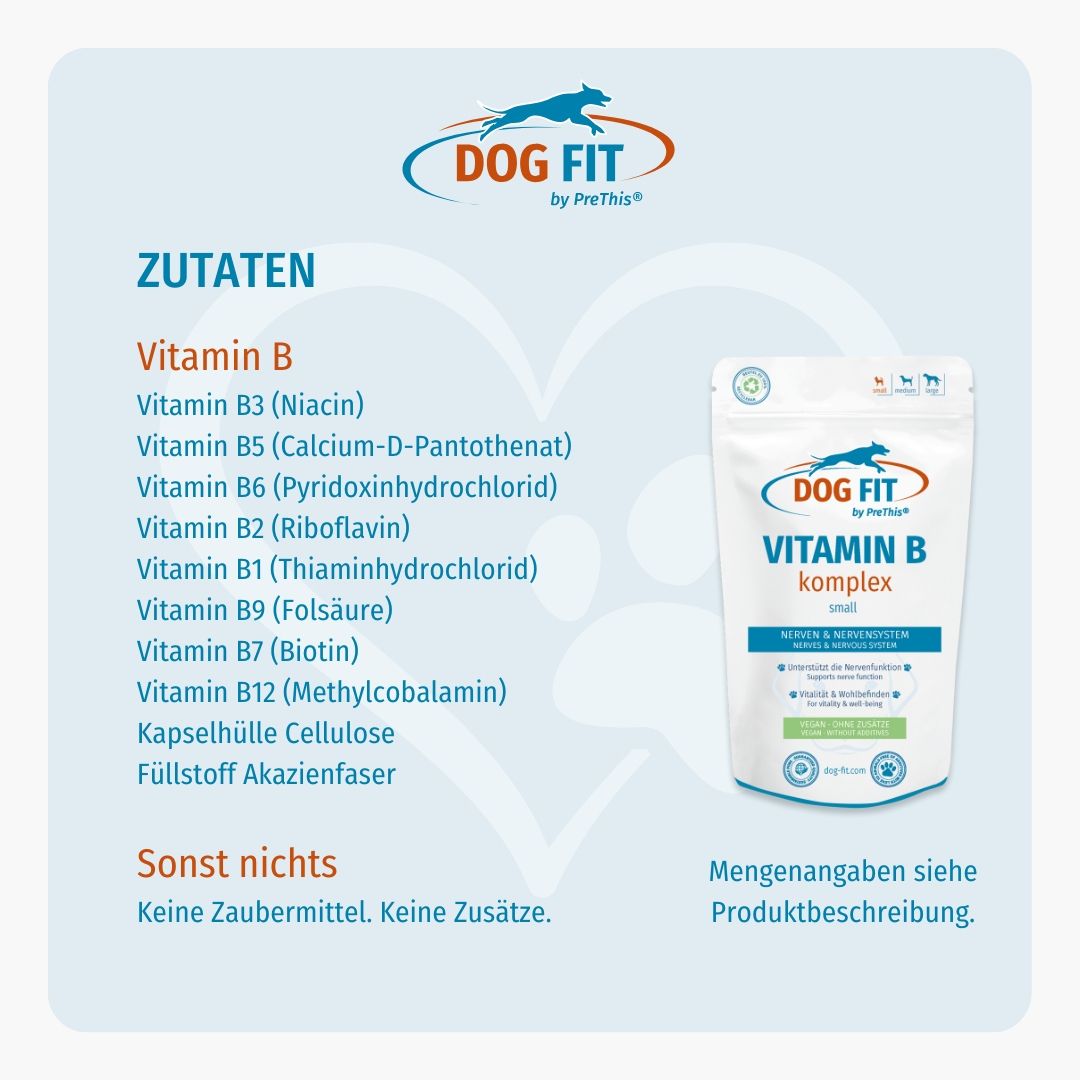 DOG FIT by PreThis® JOINTS & VITAMIN B Kombiset (small)
