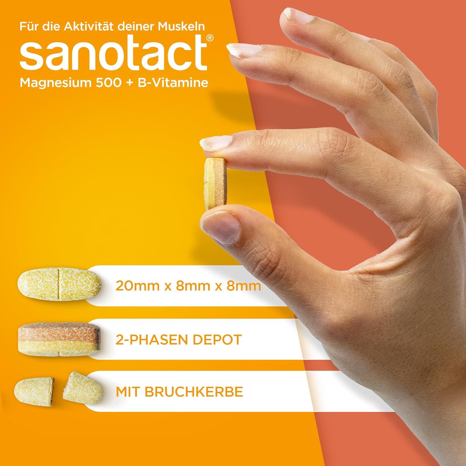 Hand hält eine Tablette Sanotact Magnesium 500 + B-Vitamine. Tablette: 20mm x 8mm x 8mm. 2-Phasen Depot. Mit Bruchrille.