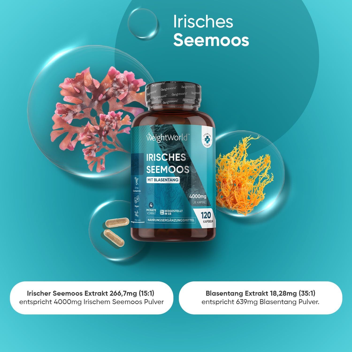 Produktabbildung mit Irisches Seemoos Kapseln, Algen und Kapseln. Text: Irisches Seemoos, 120 Kapseln. WeightWorld Logo.