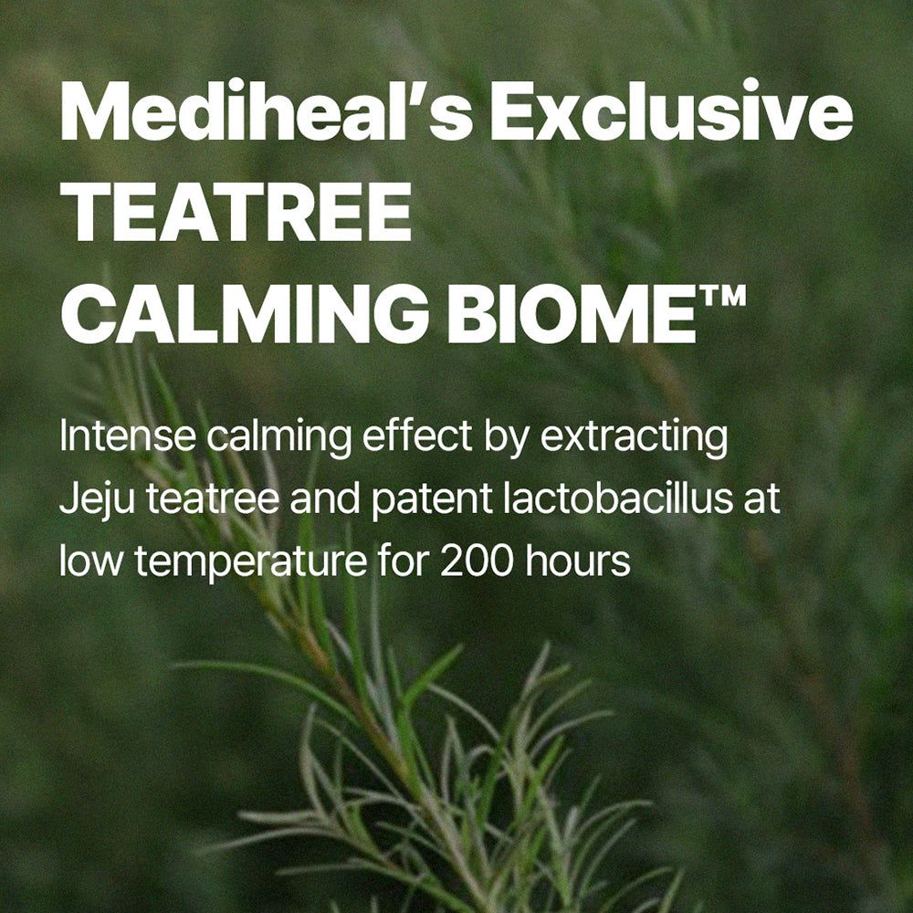 Text mit den Worten "MEDIHEAL Teatree Calming Biome". Grüner Hintergrund mit Teebaumzweig.