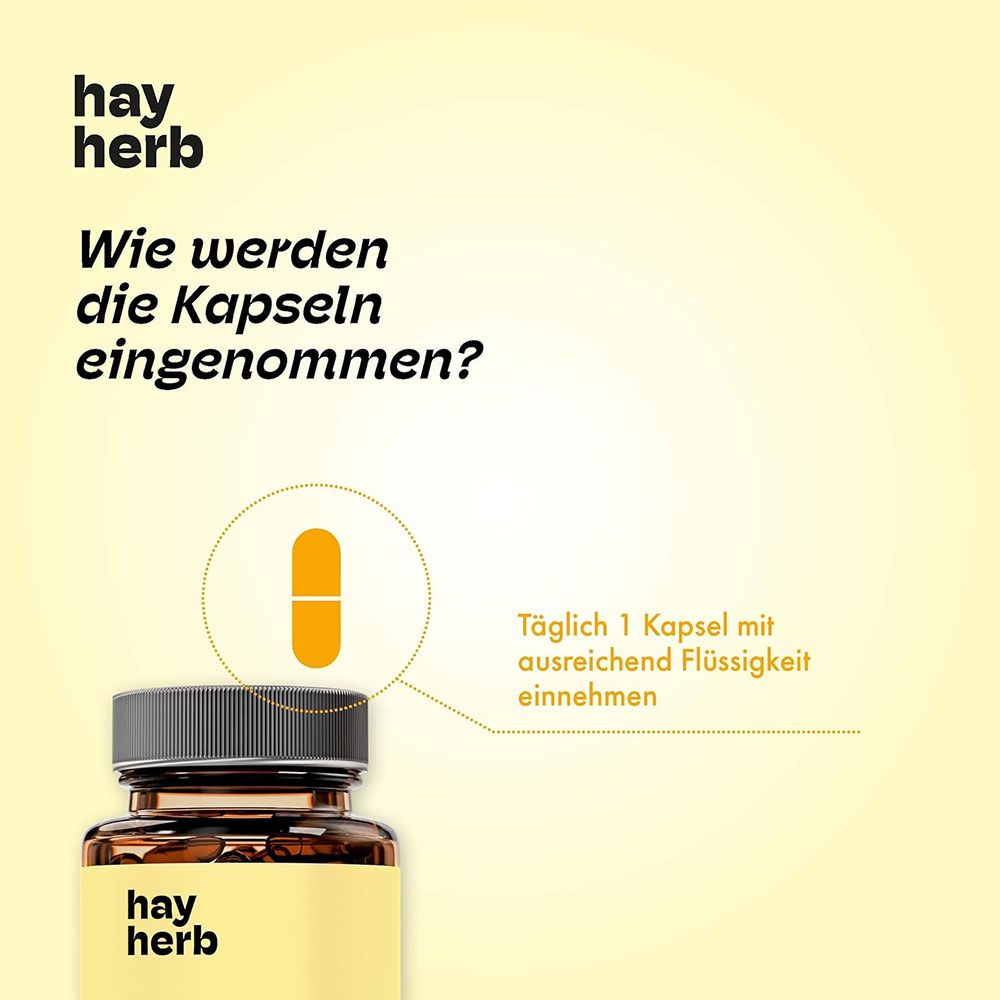 hay herb Gute Laune Komplex Kapseln