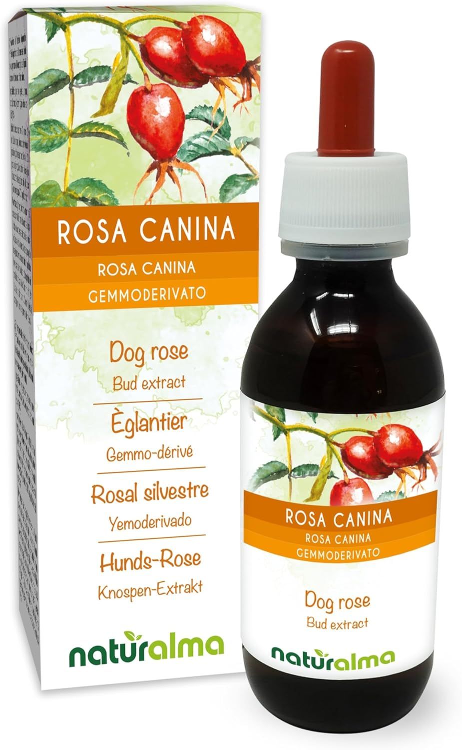 Produktflasche und Verpackung. Auf der Flasche und der Verpackung ist der Produktname "Rosa Canina" und "Hunds-Rose" zu sehen. Mit Tropfer.