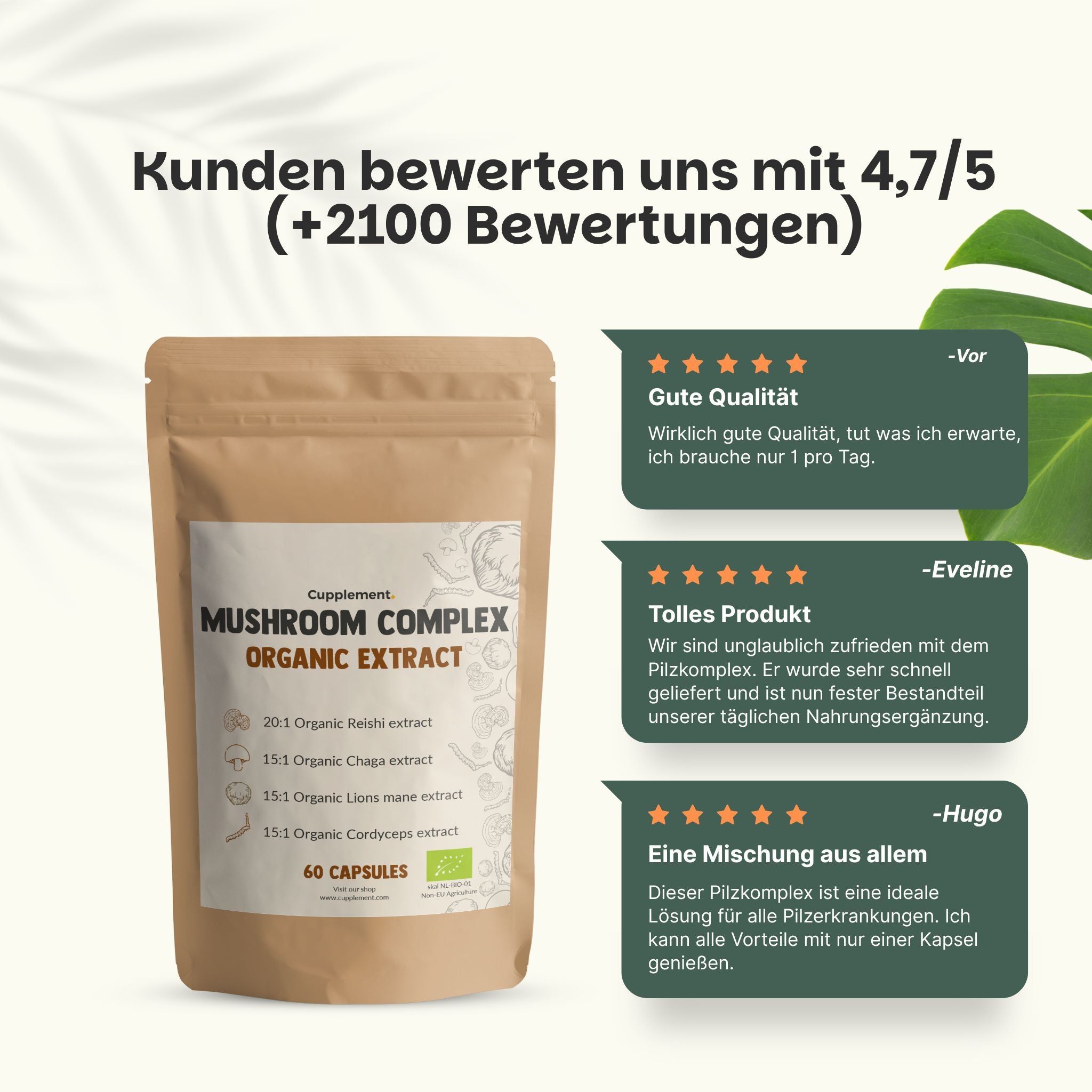 Cupplement Mushroom Complex Beutel. Text: 60 Kapseln. Kundenbewertungen mit Sternen. Zitat: Gute Qualität.