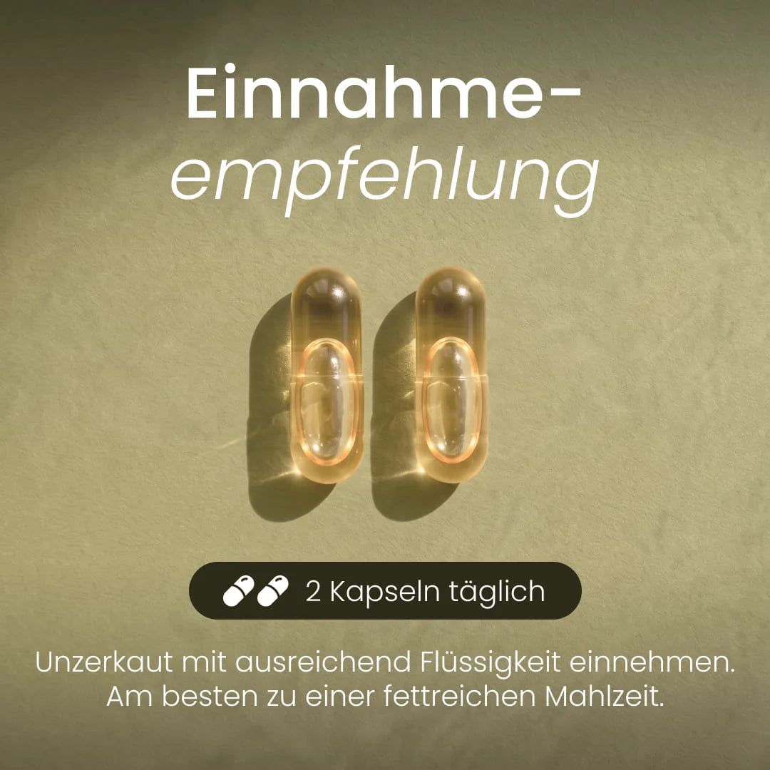 Zwei bernsteinfarbene Kapseln, die täglich eingenommen werden.