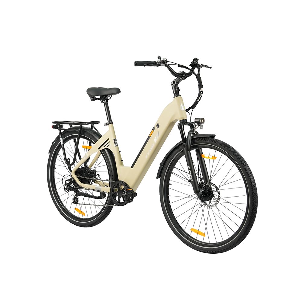 Beige Elektrofahrrad mit schwarzen Reifen, Gepäckträger und Schutzblechen. Schwarzer Sattel und Lenker. Beleuchtung.