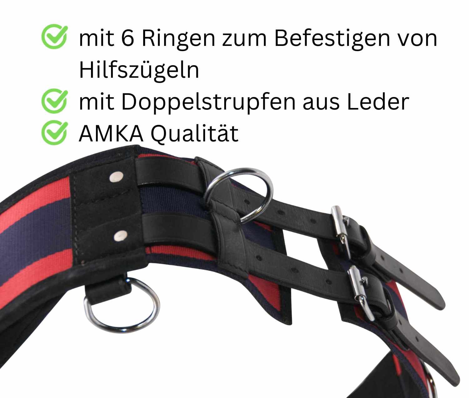 Nahaufnahme Longiergurt mit 6 Ringen, Lederriemen, AMKA Qualität.