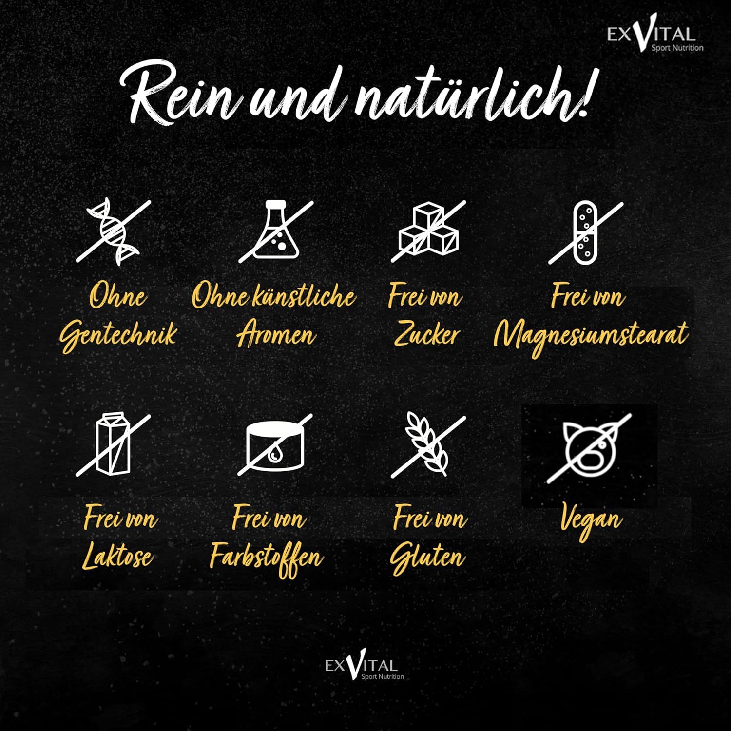 Grafik mit Symbolen. Ohne Gentechnik, Aromen, Zucker, Magnesiumstearat, Laktose, Farbstoffe, Gluten, Vegan. EXVital Logo.