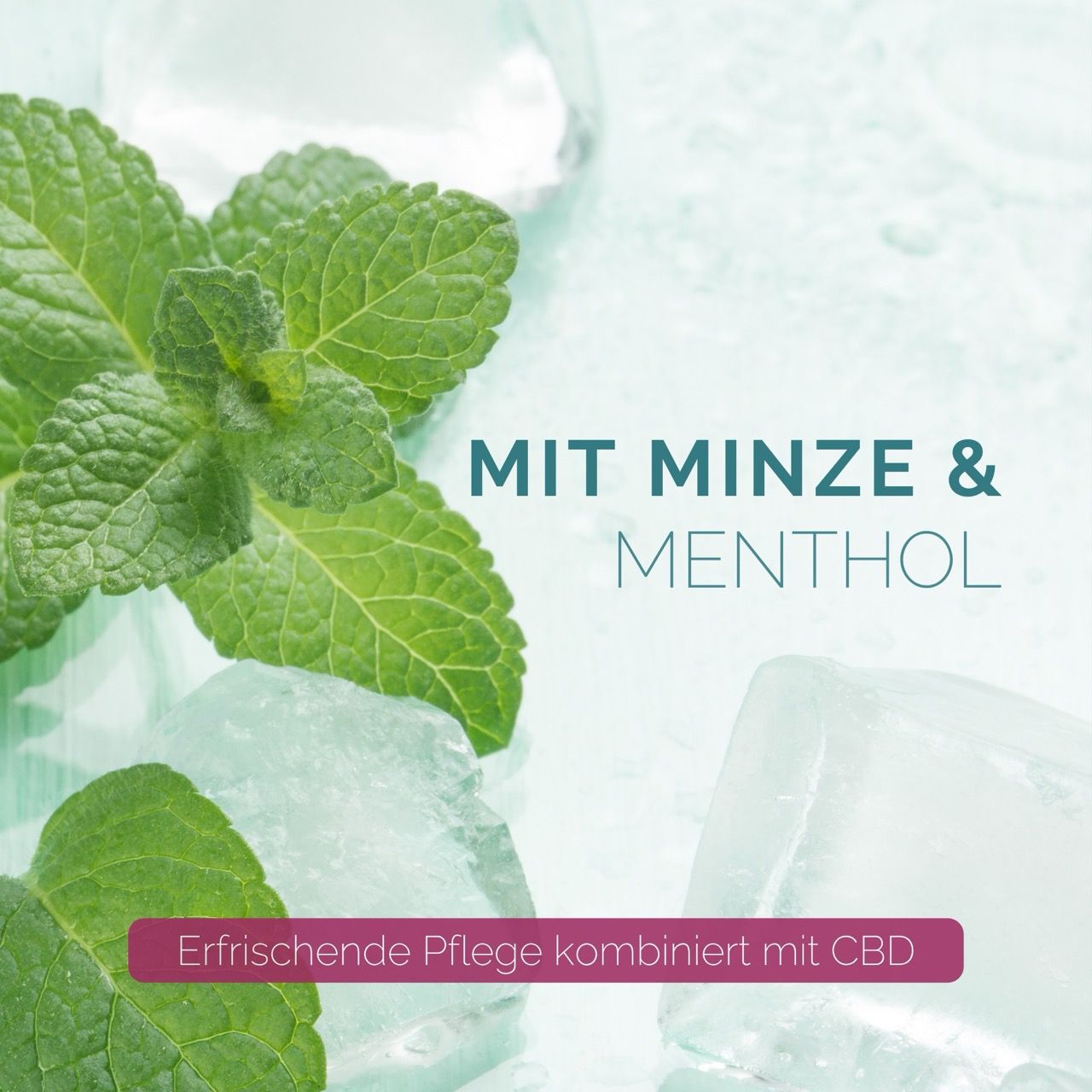 Minze und Eiswürfel. Text: MIT MINZE & MENTHOL. Erfrischende Pflege.
