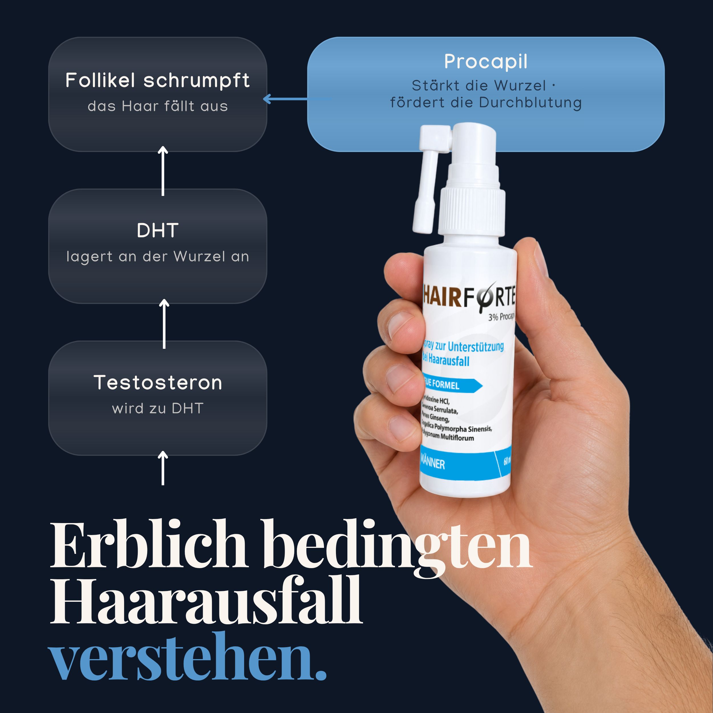 Hand hält Hairforte Spray 3% Procapil, Schema zu Haarausfall.