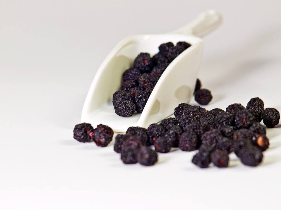 Getrocknete Aroniabeeren in weißer Schaufel und daneben. Auf hellem Hintergrund.
