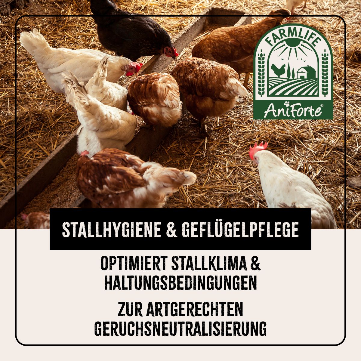 AniForte Milben-STOP Kieselgur inkl. Stäuberflasche