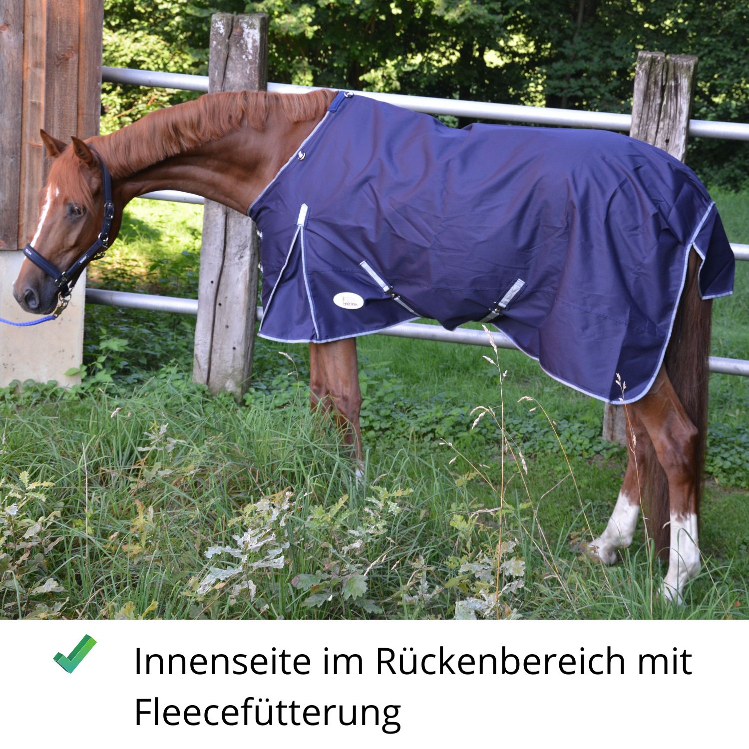 AMKA Outdoordecke Weidedecke BORAS 600D wasserdicht atmungsaktiv mit Kreuzgurte