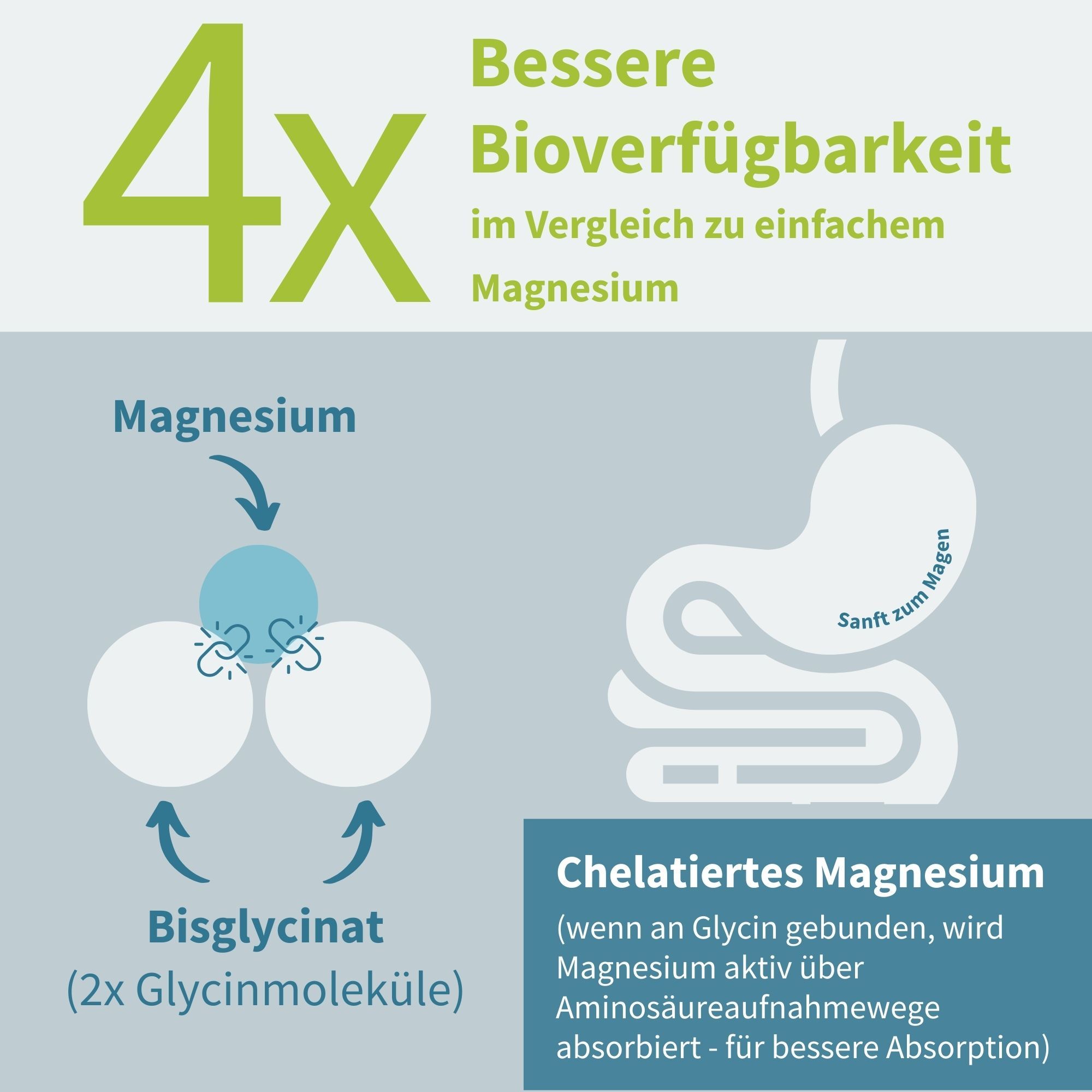 Igennus Magnesium Bisglycinat Gepuffert & Chelatiert, 380mg Elementares Hochdosiertes, Clean Label