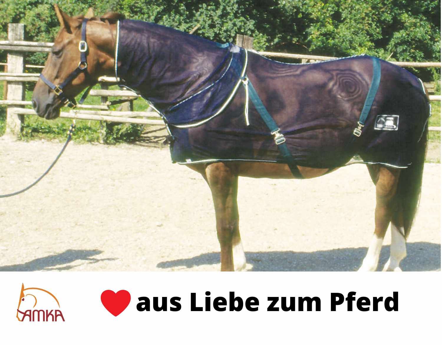 Braunes Pferd mit blauer Fliegendecke. Grüne Gurte. Text: AMKA, Herz-Symbol, 'aus Liebe zum Pferd'.