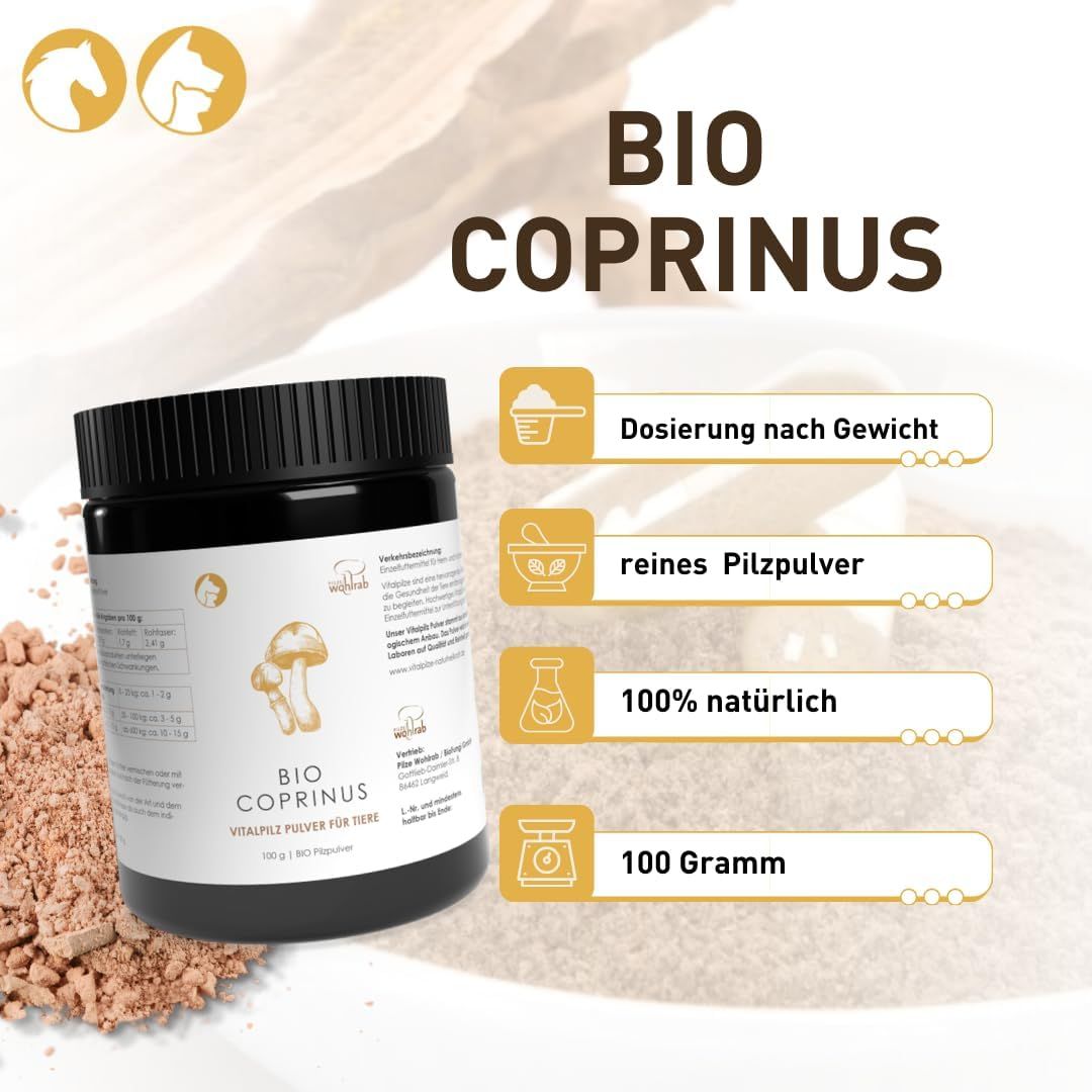 Dose mit weißem Etikett. BIO Coprinus. Dosierung nach Gewicht, reines Pilzpulver, 100% natürlich, 100 Gramm.