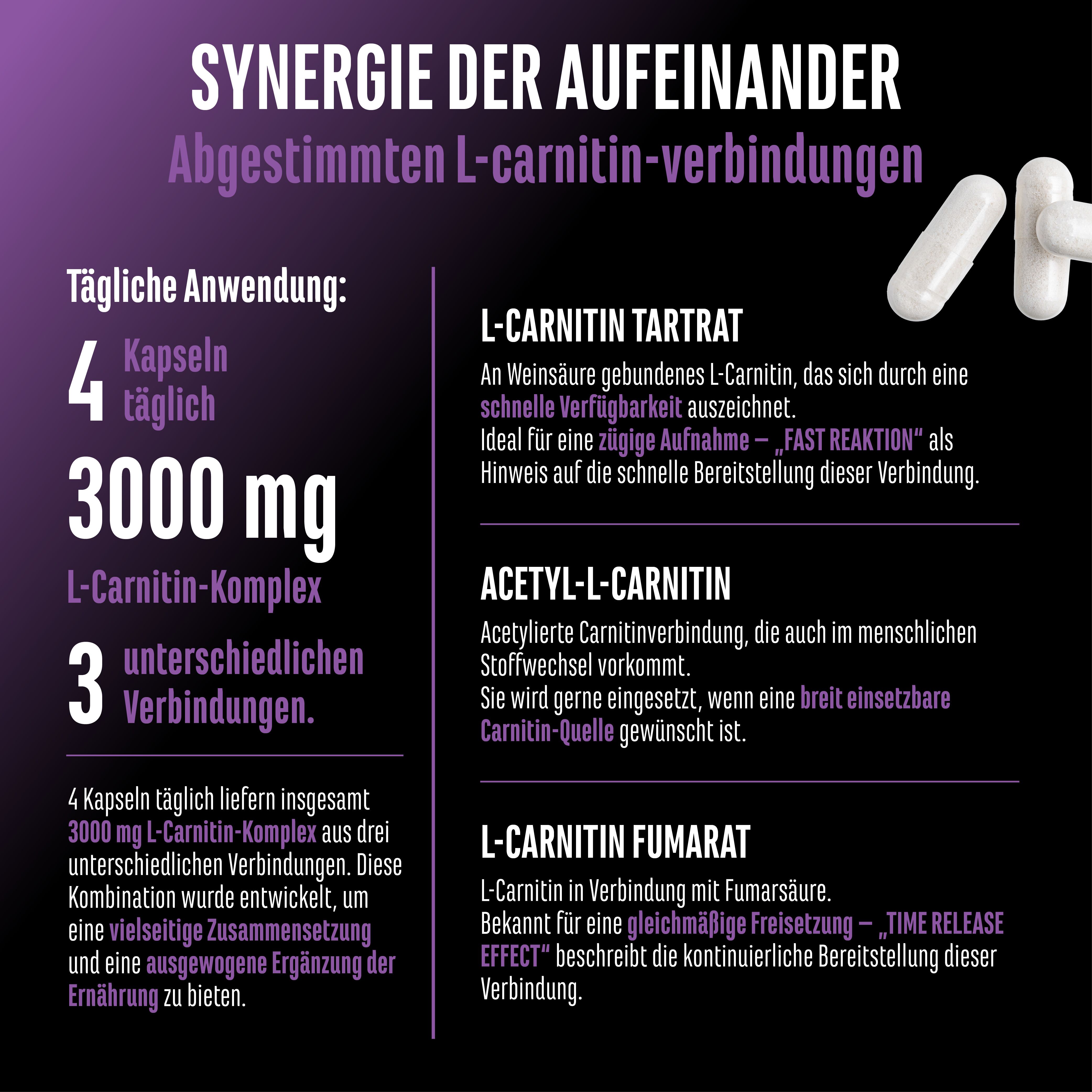 Infografik zu L-Carnitin Triple Complex. 4 Kapseln täglich, 3000 mg L-Carnitin-Komplex, 3 Verbindungen. Erläuterung zu L-Carnitin Tartrat, Acetyl-L-Carnitin, L-Carnitin Fumarat.