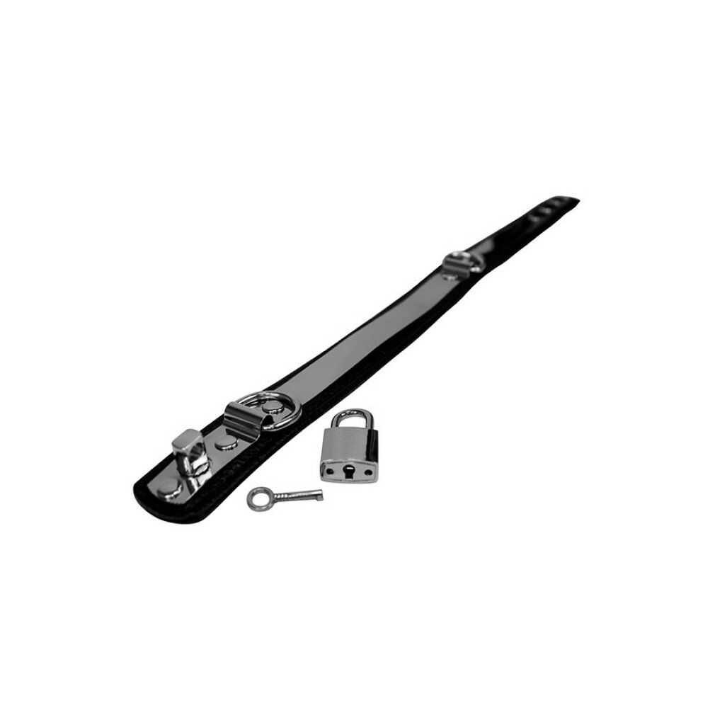 Halsbandteil aus Leder und Metall, mit Vorhängeschloss und Schlüssel. Schwarzes Leder, silberfarbenes Metall. Liegt auf einer Oberfläche.
